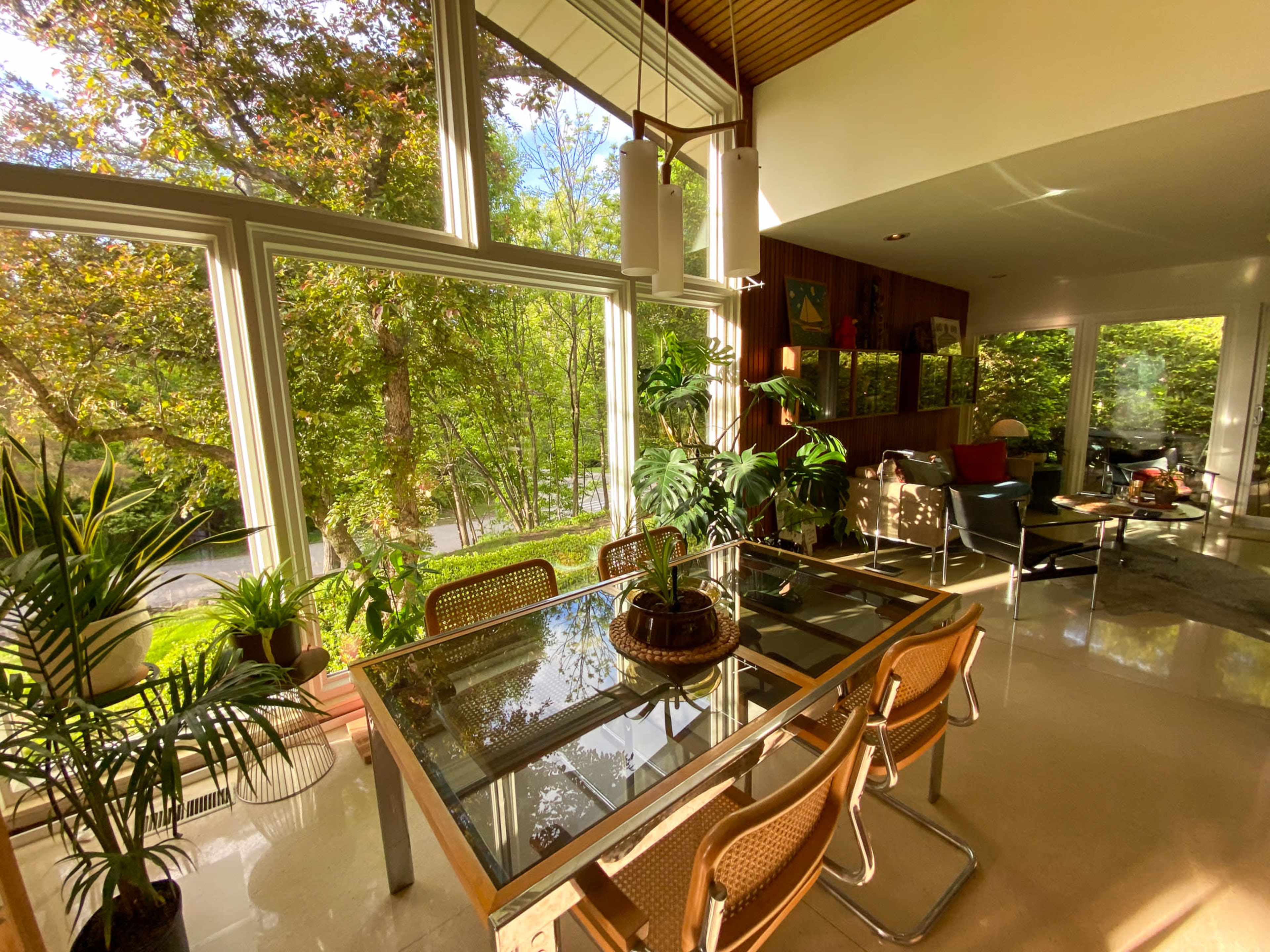 A dining area with a glass table and rattan chairs is surrounded by large windows showcasing lush greenery outside.