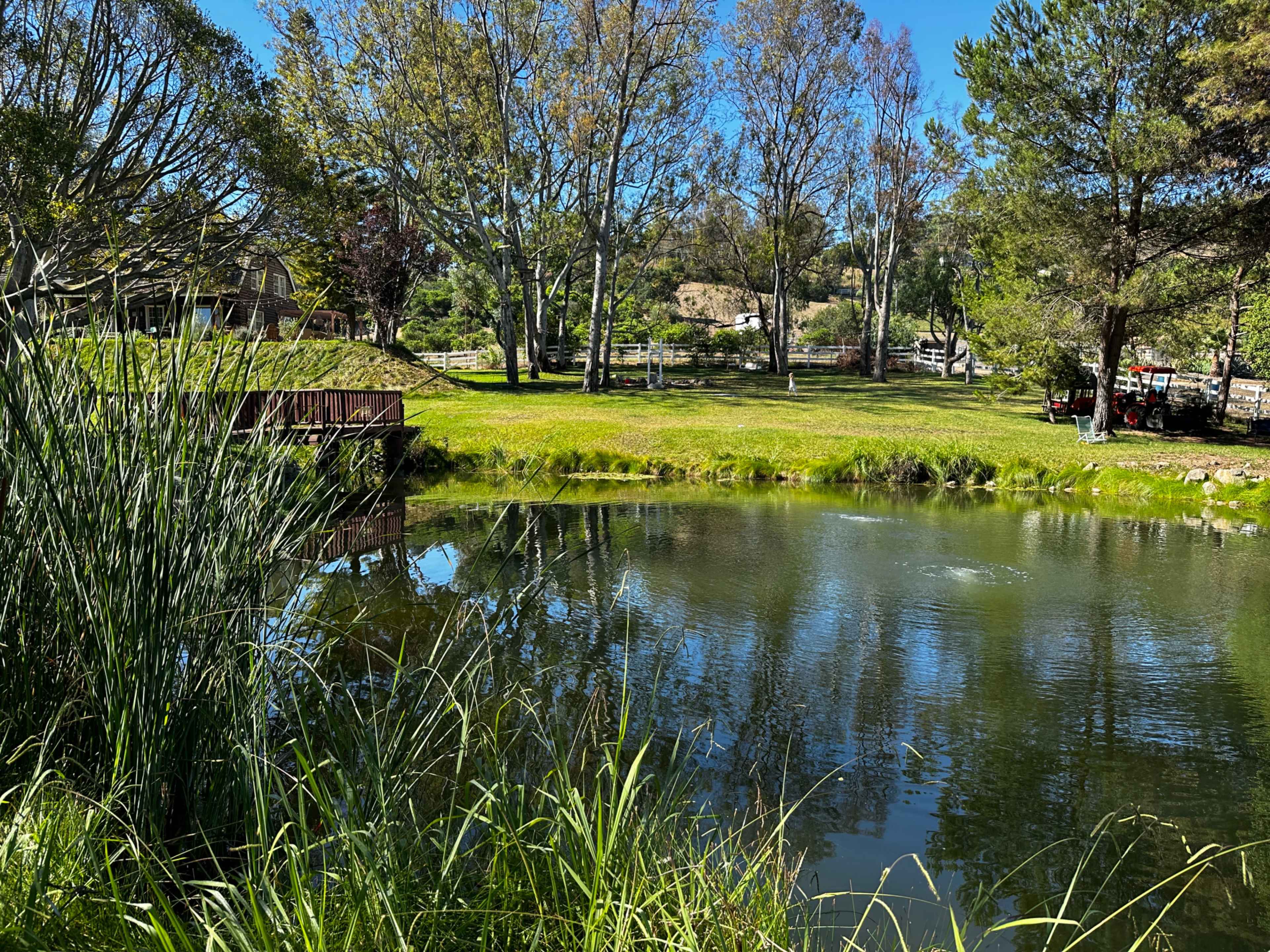 A calm pond is surrounded by trees and grassy areas, with a wooden bridge visible in the foreground.