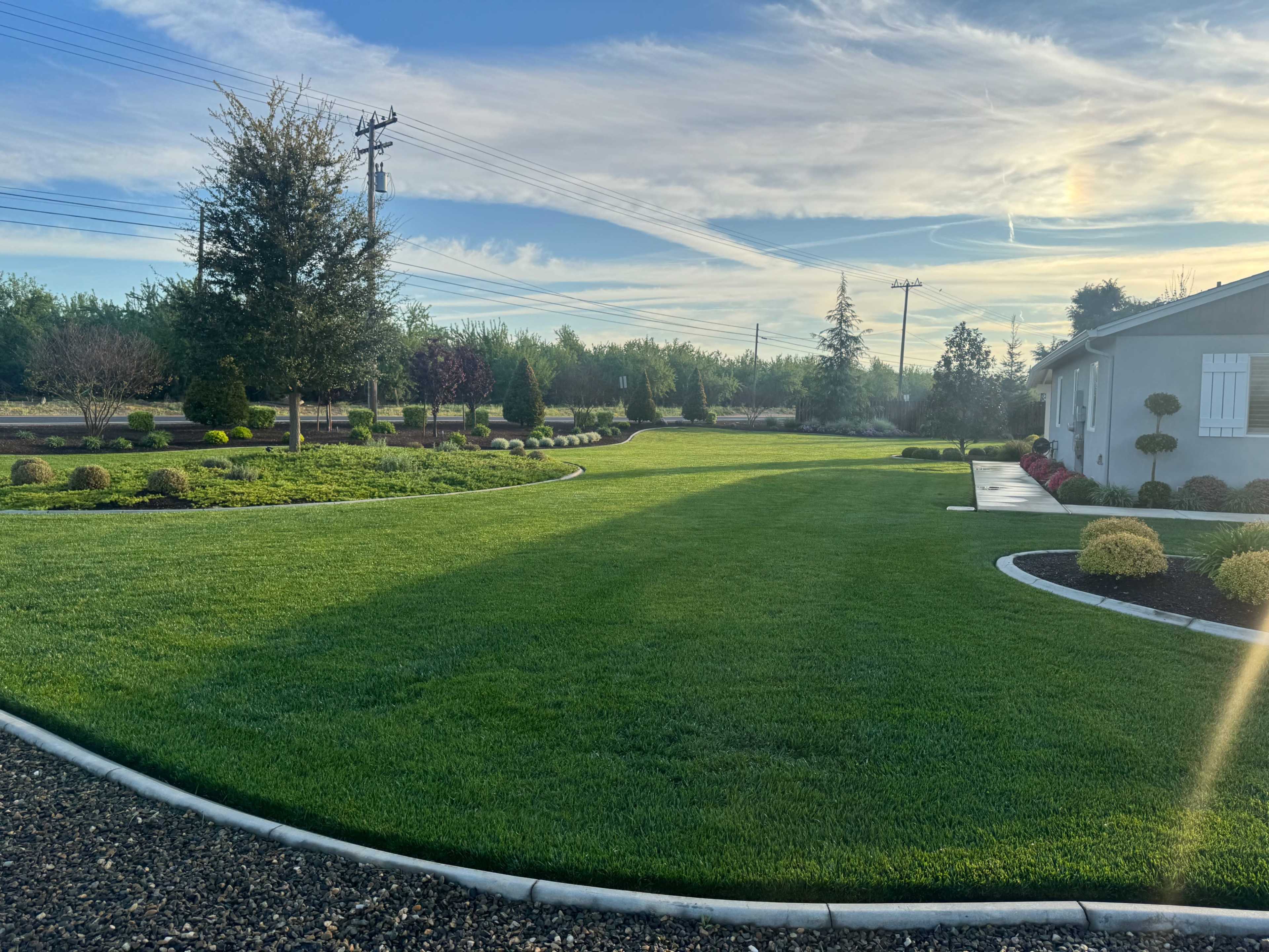 The image shows a well-manicured lawn with neatly trimmed grass and shrubs, bordered by a concrete path and surrounded by trees in the background.