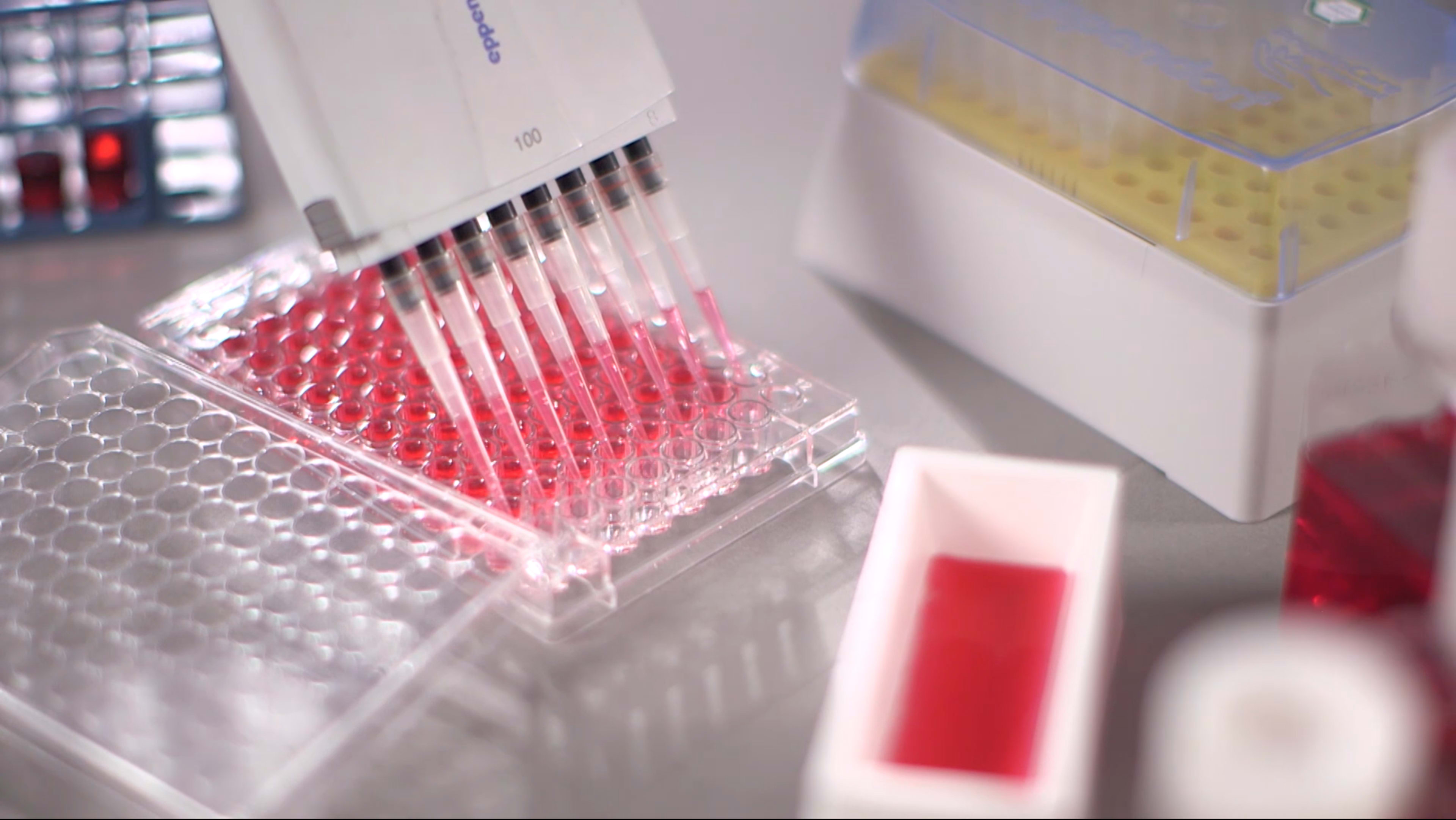 A pipette dispenses liquid into a multi-well plate while various laboratory containers and samples are arranged on the surface.