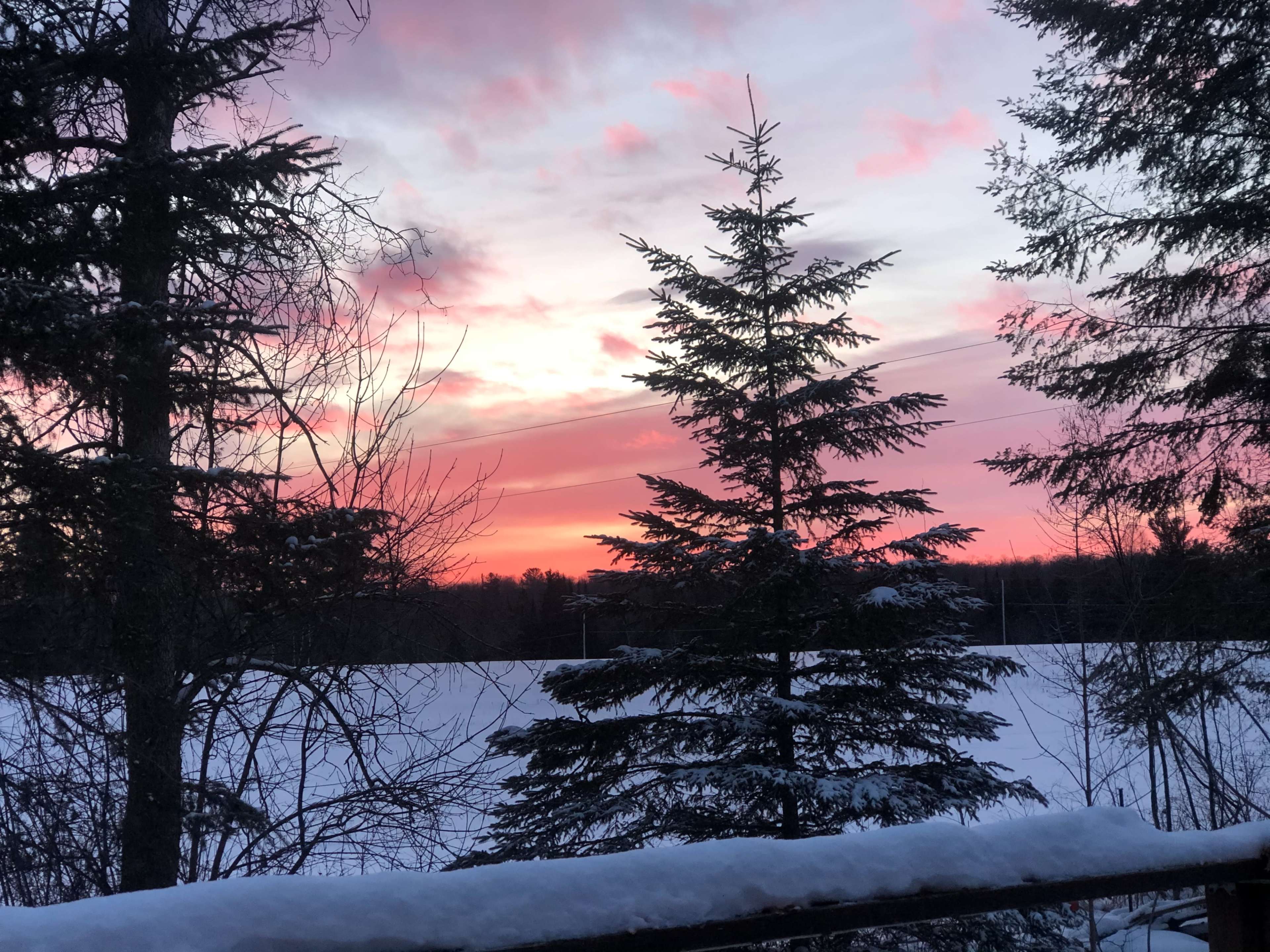The scene shows a sunset with pink and purple hues behind tall evergreen trees, with a snowy landscape below.