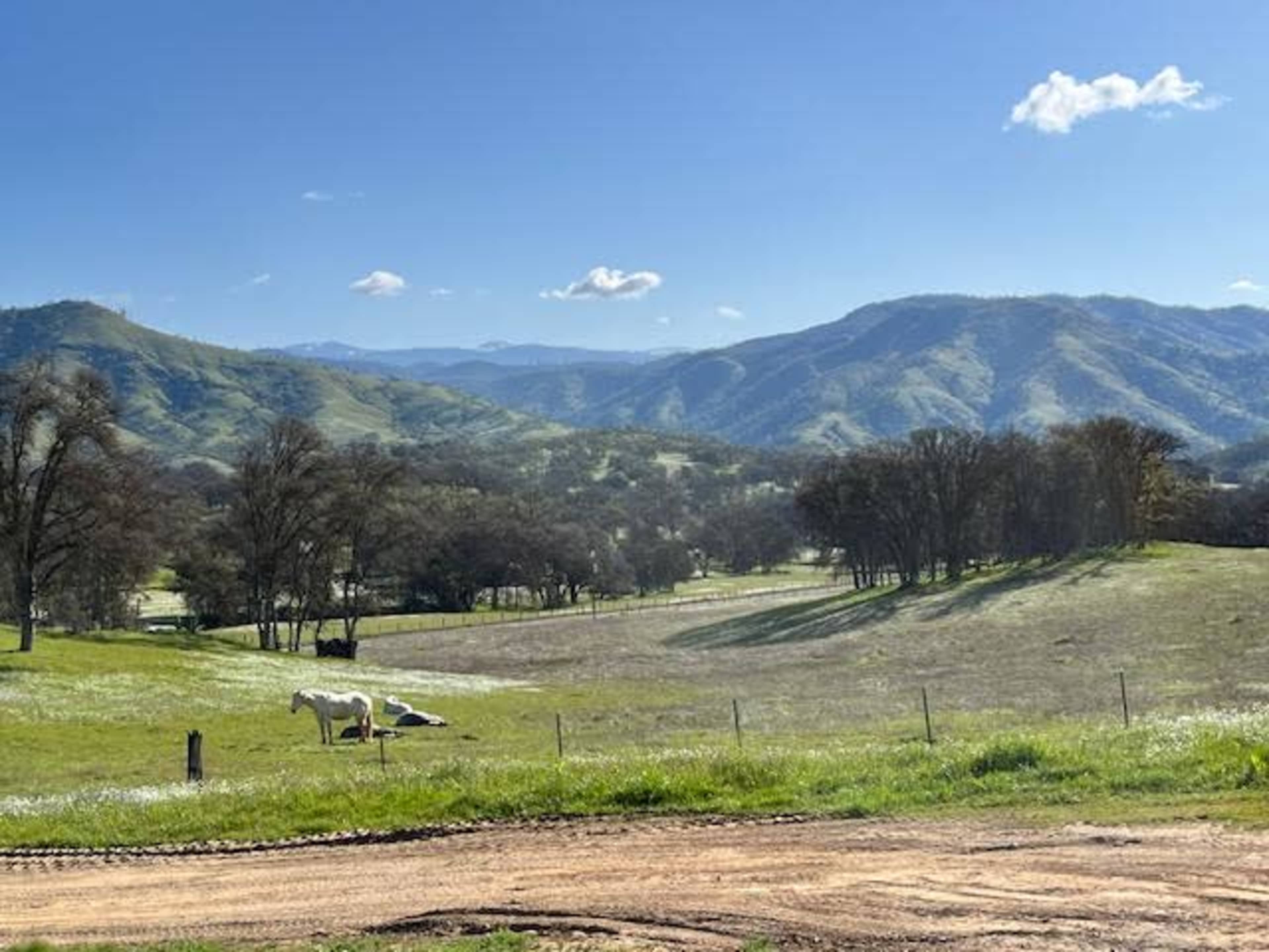 Stunning 87- Acre Ranch Ideal for Photoshoots, Video Shoots and Events. Image in , Tollhouse, CA