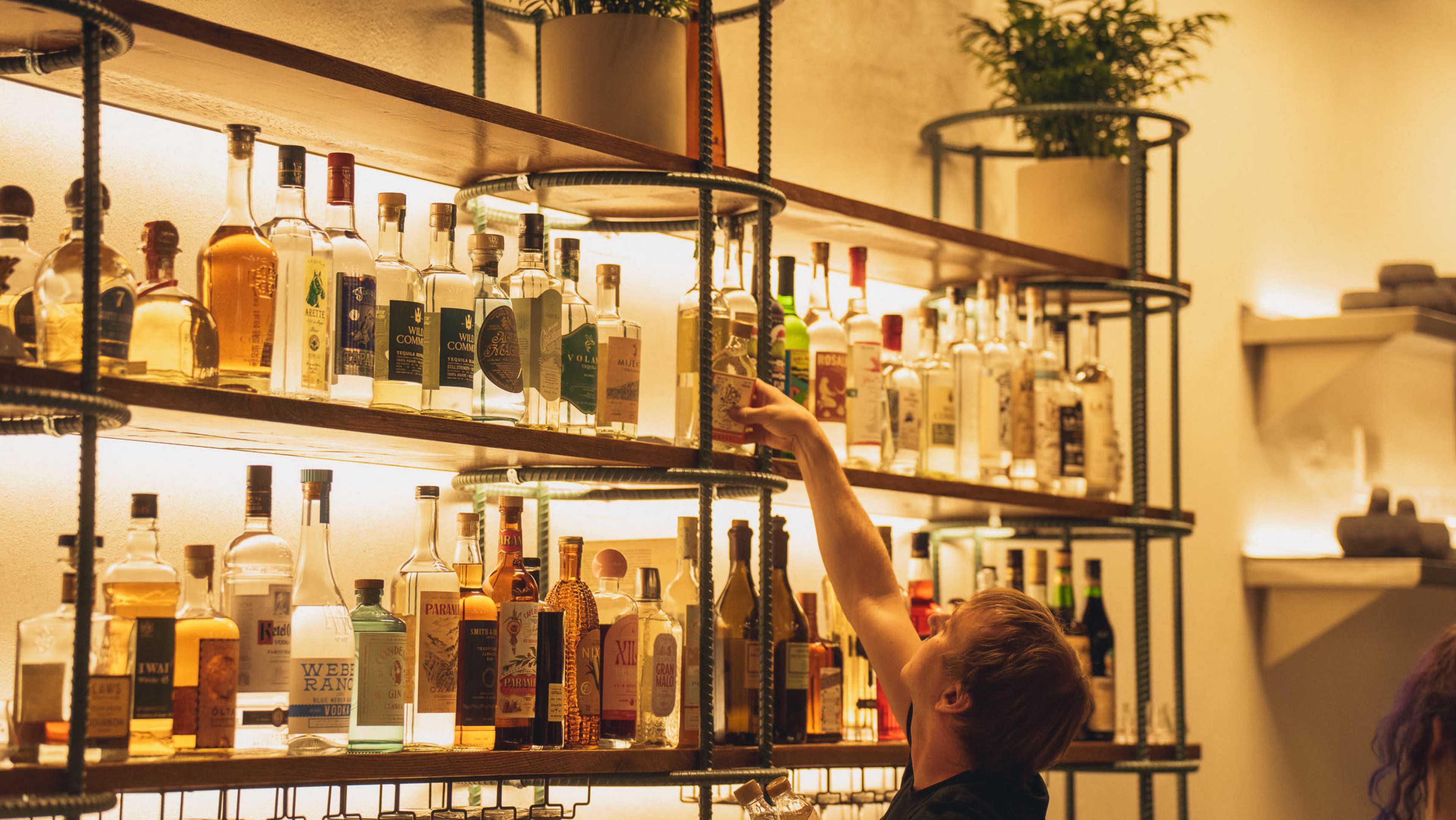 A person is reaching for a bottle on a well-organized shelf filled with various liquor bottles.