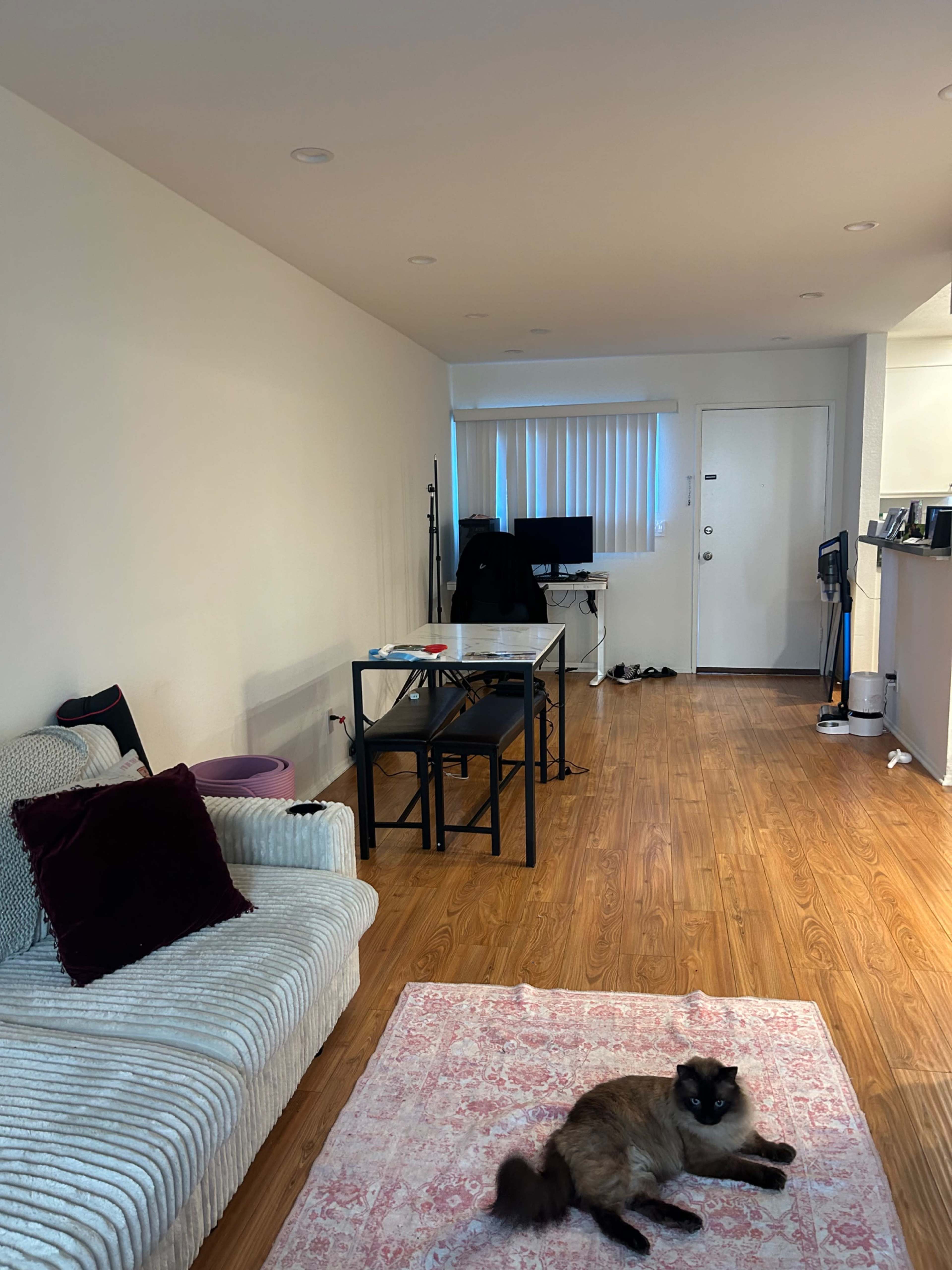 A light-filled room features a striped couch, a glass dining table with chairs, a computer setup, and a cat resting on a patterned rug.