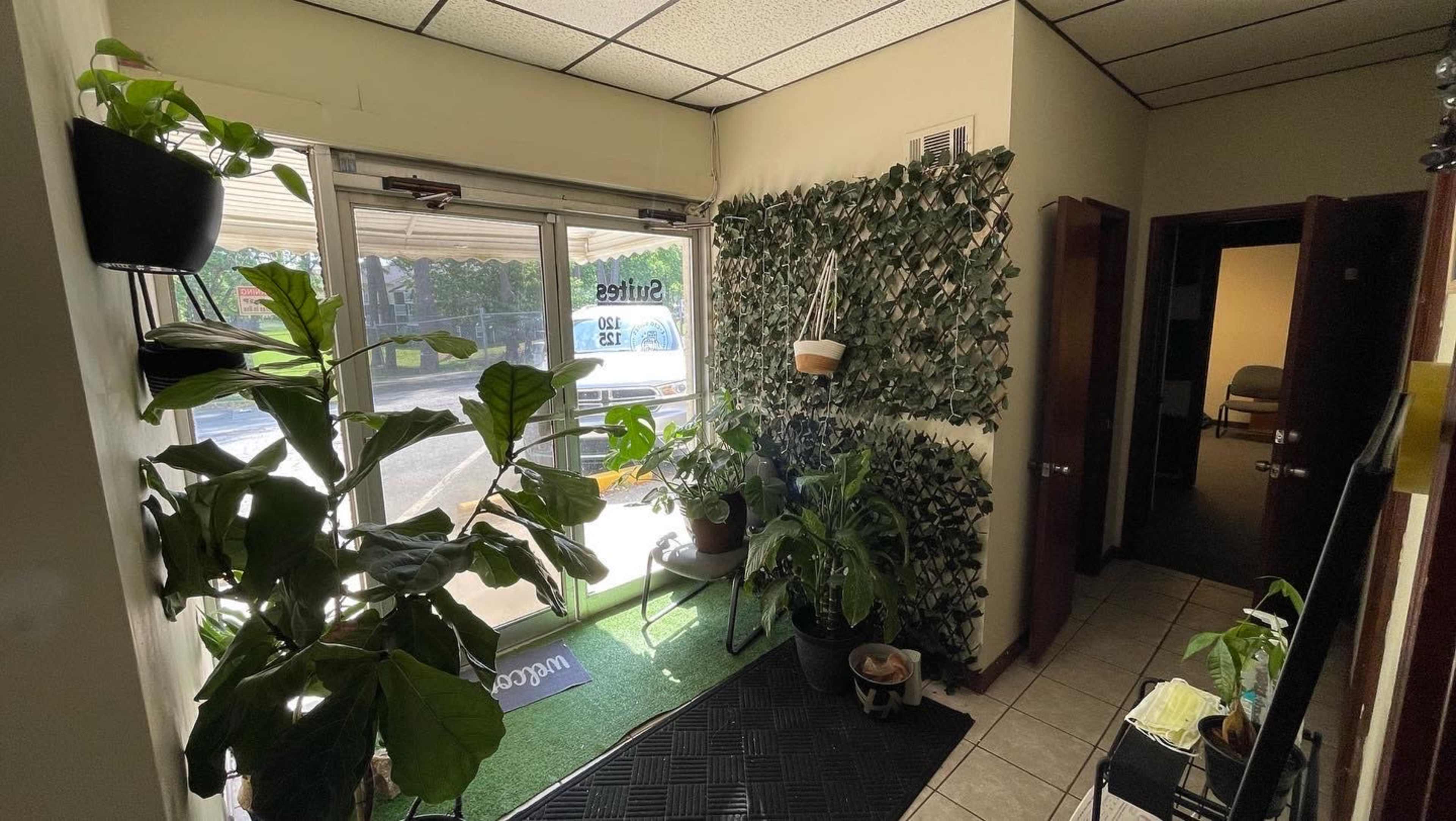 A small entryway with green plants and a wall covered in foliage, leading to a doorway with glass doors that open to the outdoors.
