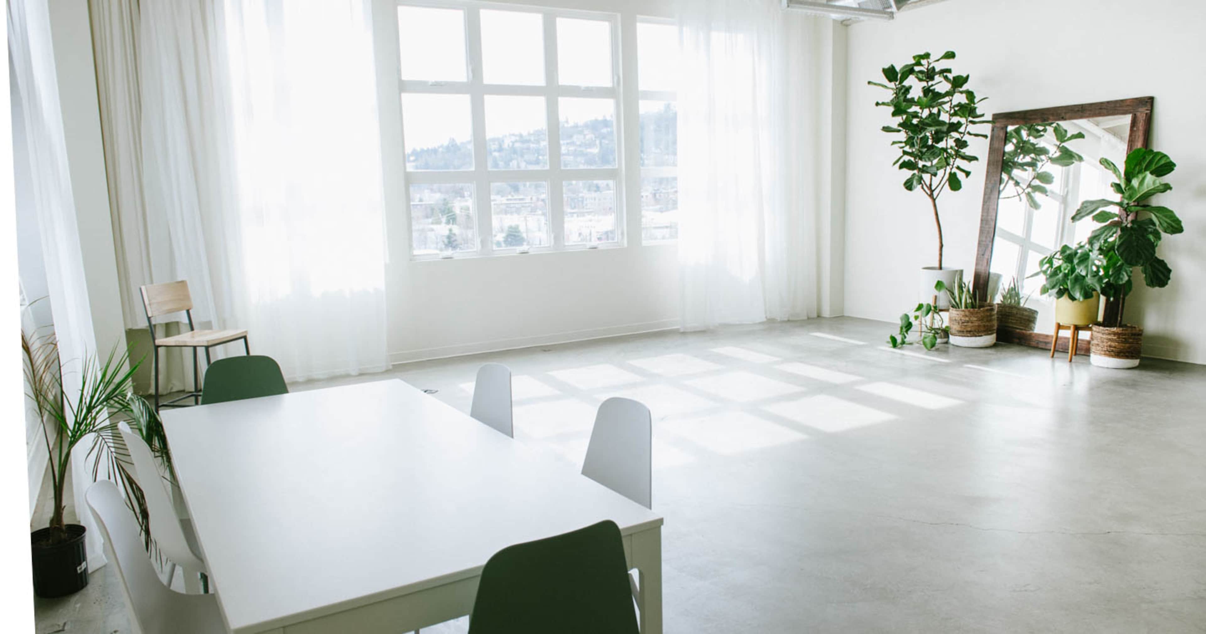 A bright, minimalist room features a large white table, several chairs, and potted plants, with natural light streaming through tall windows.