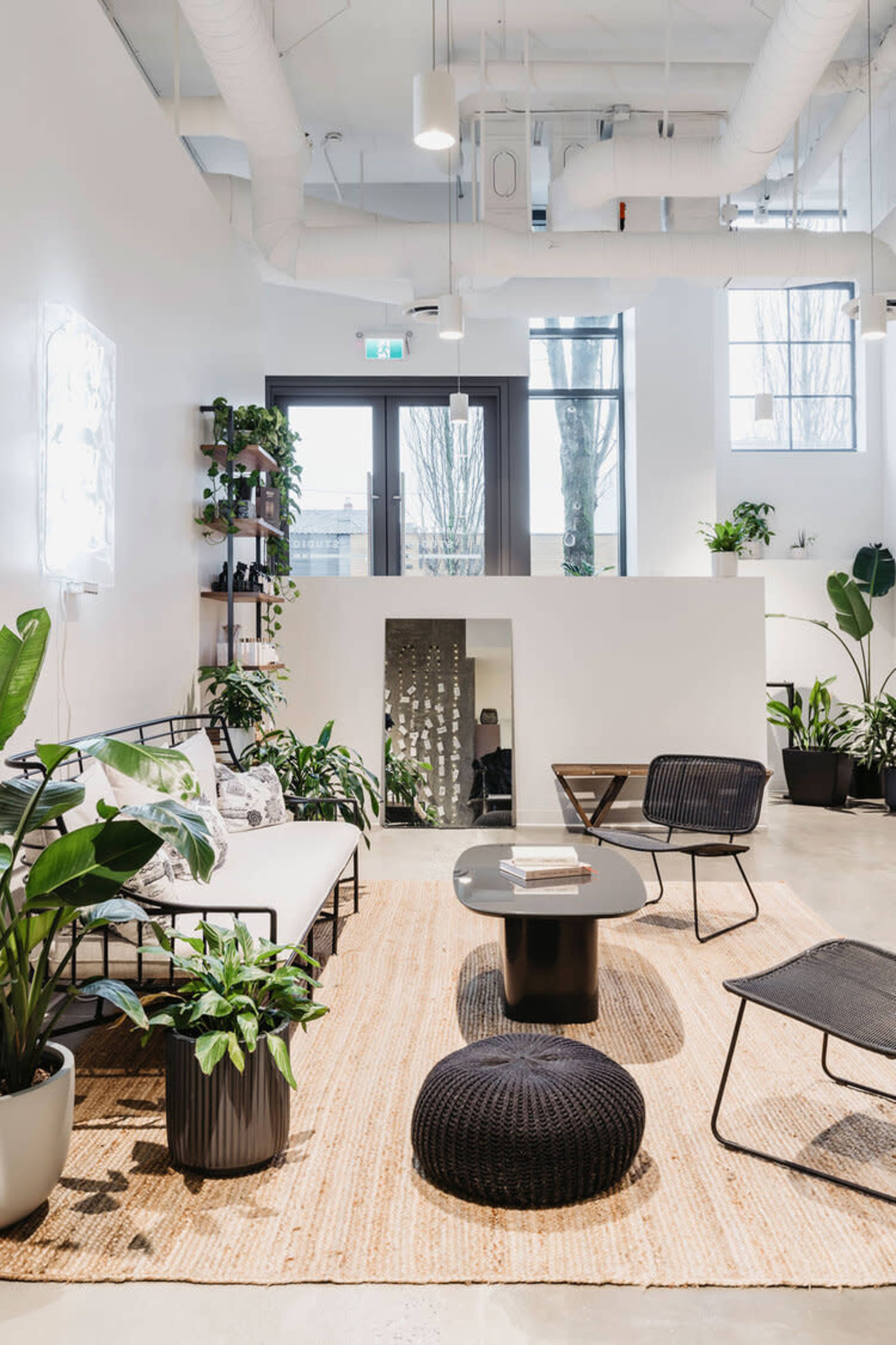 A modern, minimalist interior space with a light-colored sofa, black chairs, a coffee table, and various plants decorating the room.