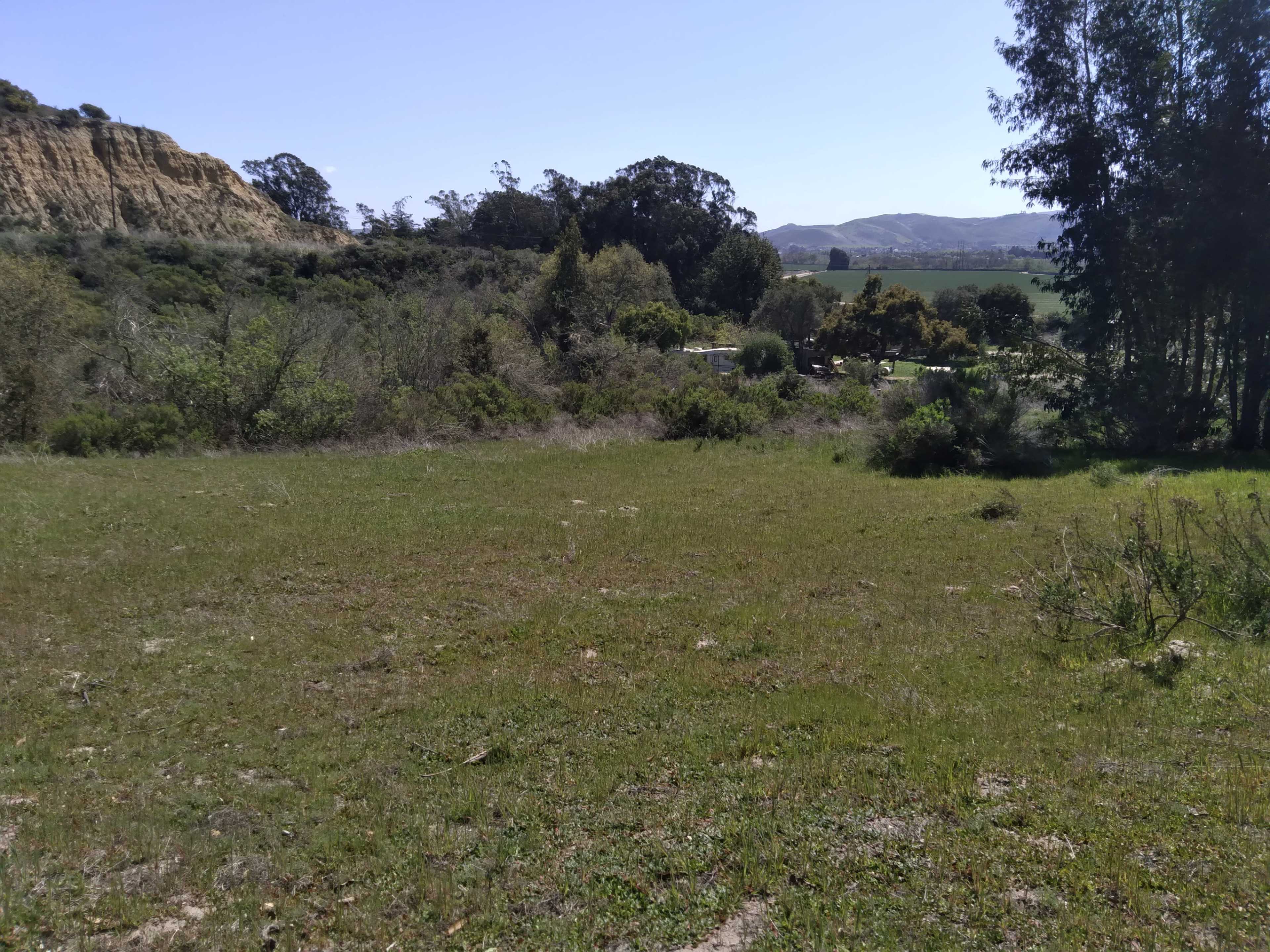 An open field with shrubs and trees, bordered by a hilly landscape in the background.