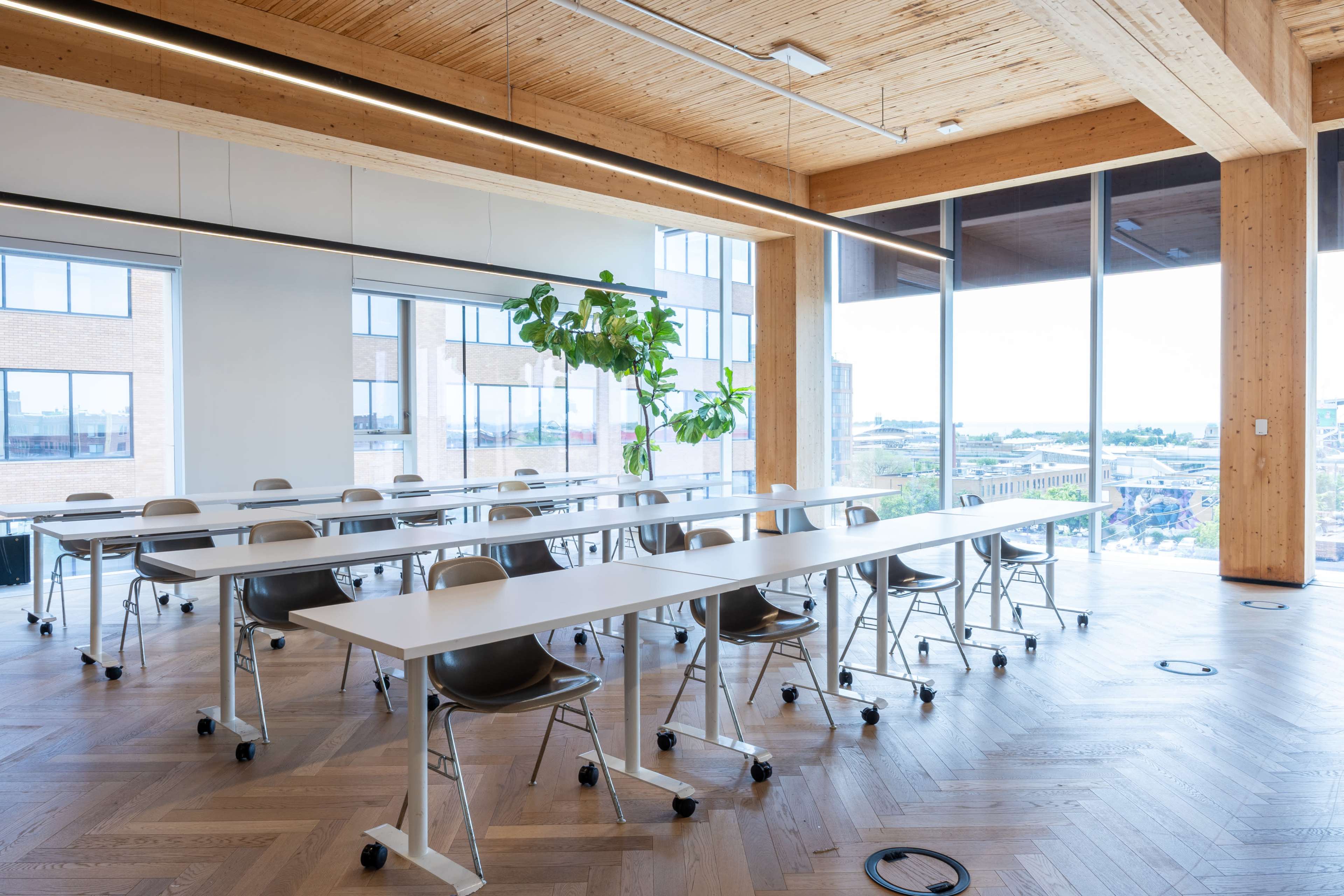 The image shows a modern classroom with movable desks and chairs arranged in multiple rows, large windows allowing natural light, and a potted plant in the corner.