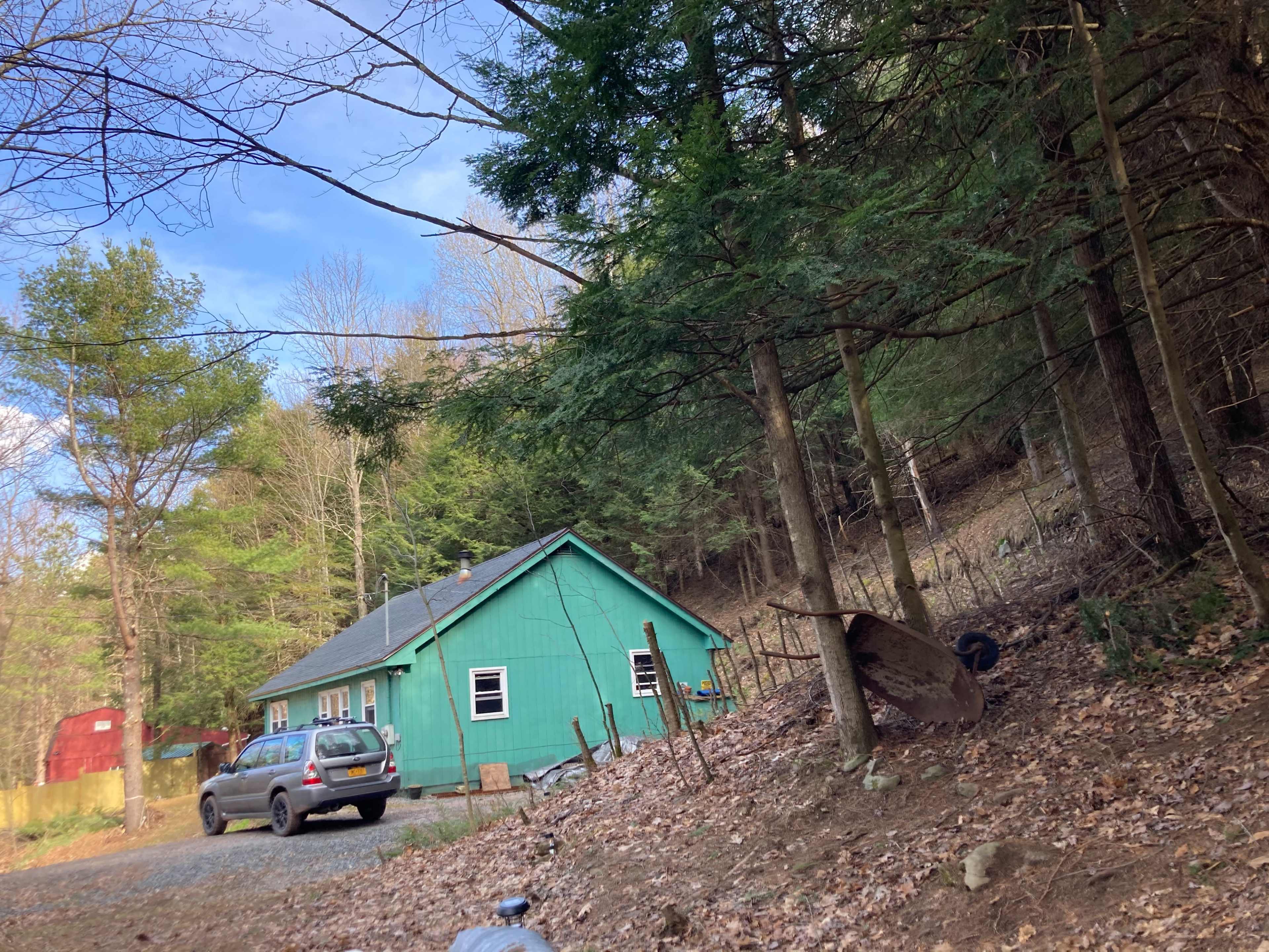 A green house is situated among trees with a gravel driveway and a wheelbarrow leaning against a tree.
