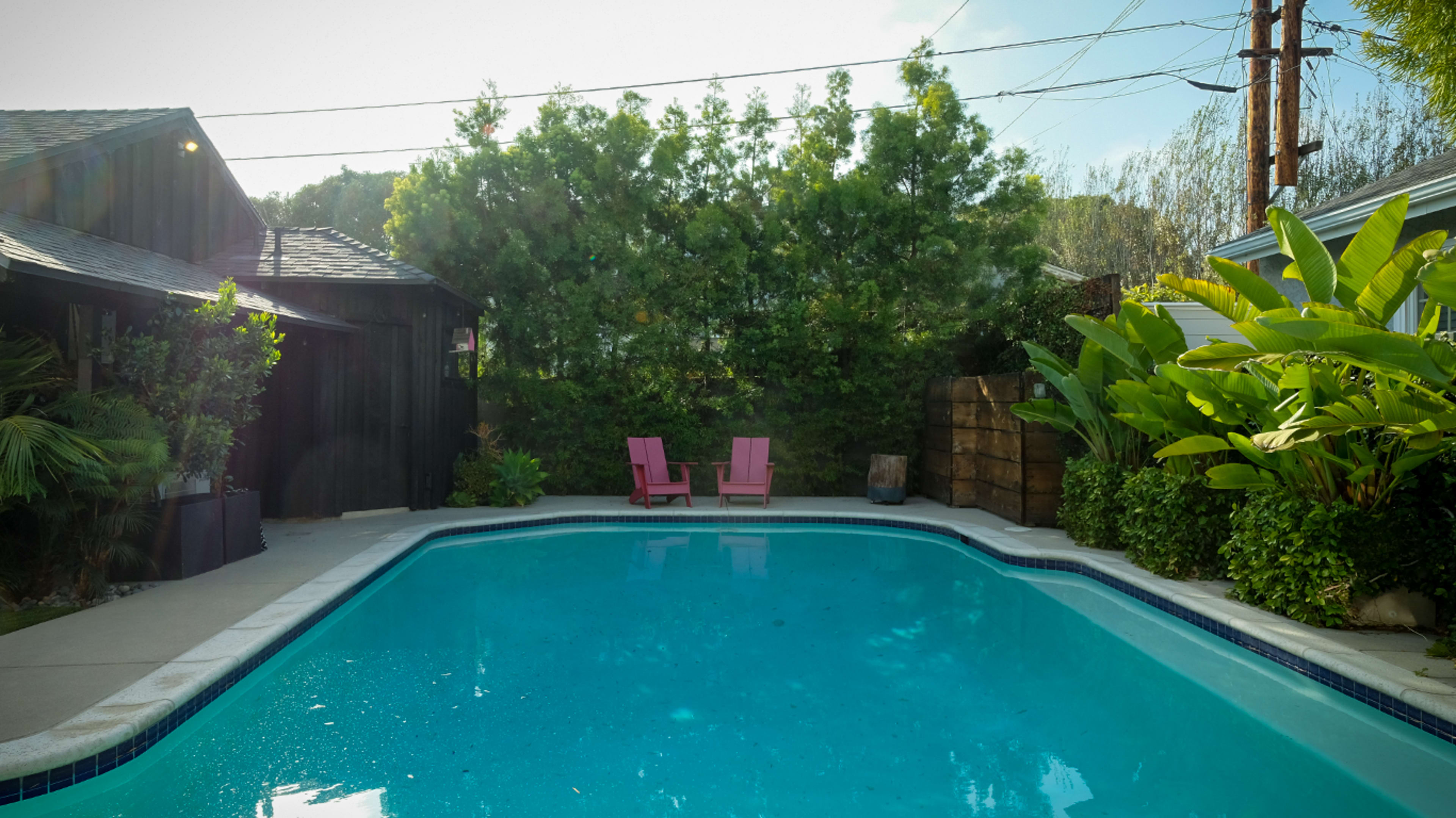 A swimming pool is situated between two buildings, surrounded by lush greenery and two pink lounge chairs.