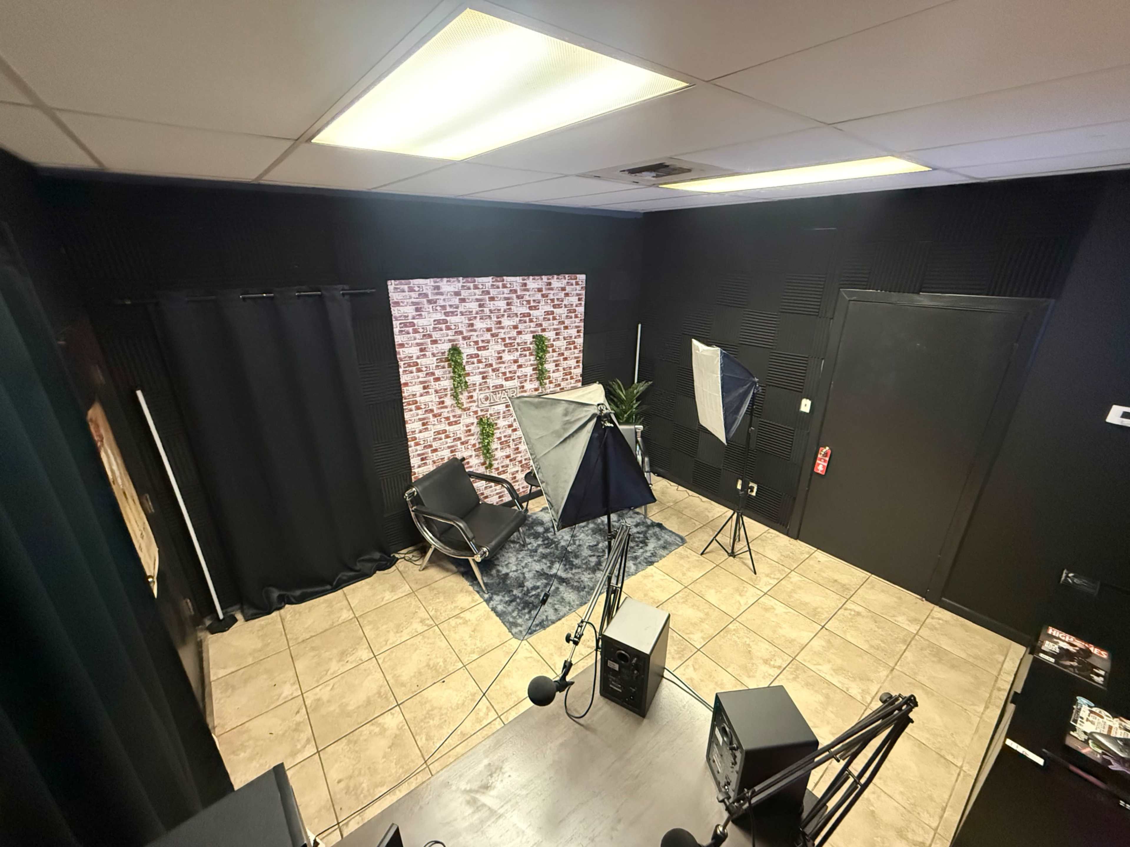 The image shows a podcast or video recording studio with a microphone setup, lighting equipment, a chair, a rug, decorative wall panels, and potted plants.