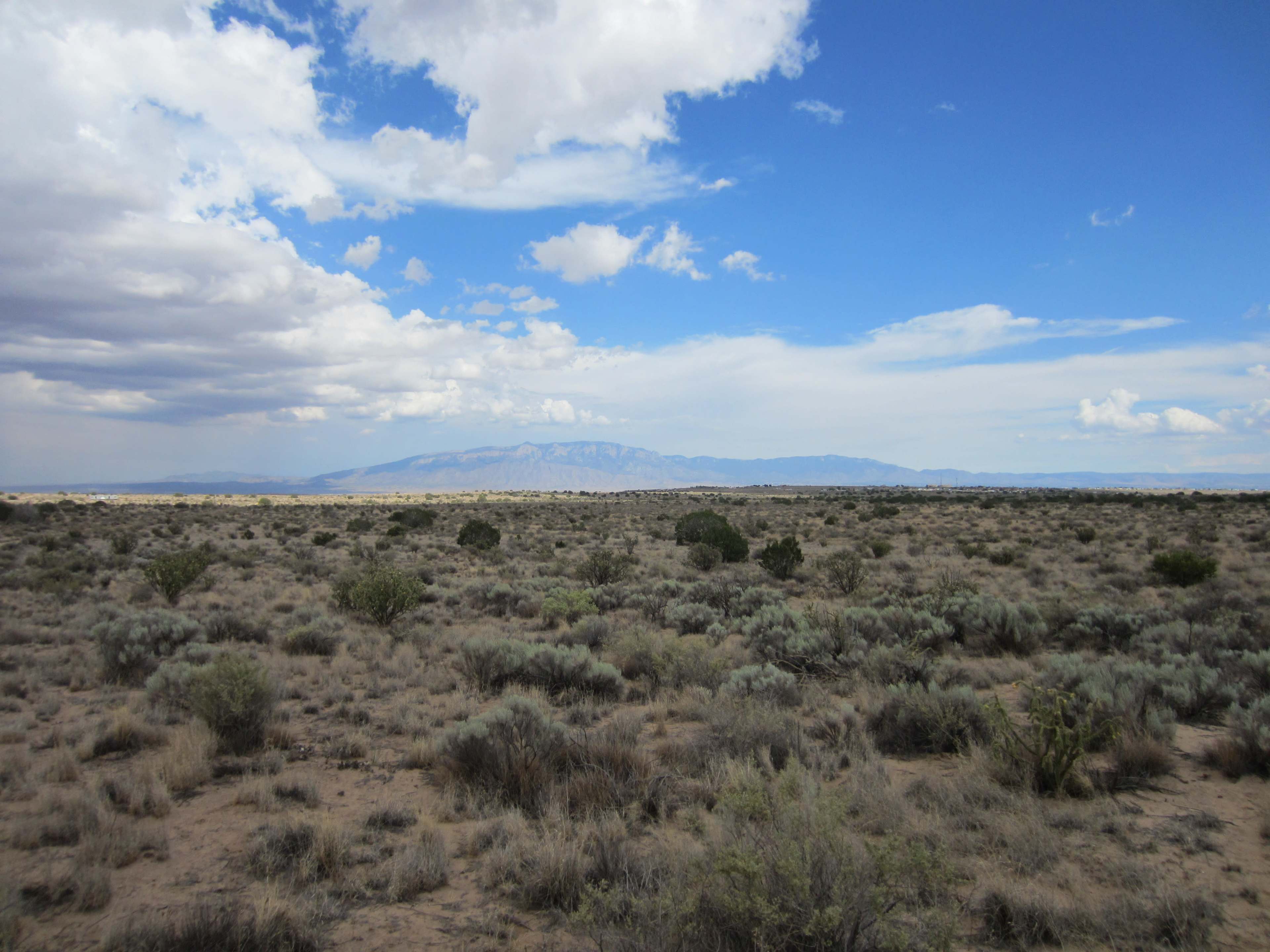 The image shows a vast desert landscape with sparse vegetation and distant mountains under a blue sky filled with clouds.