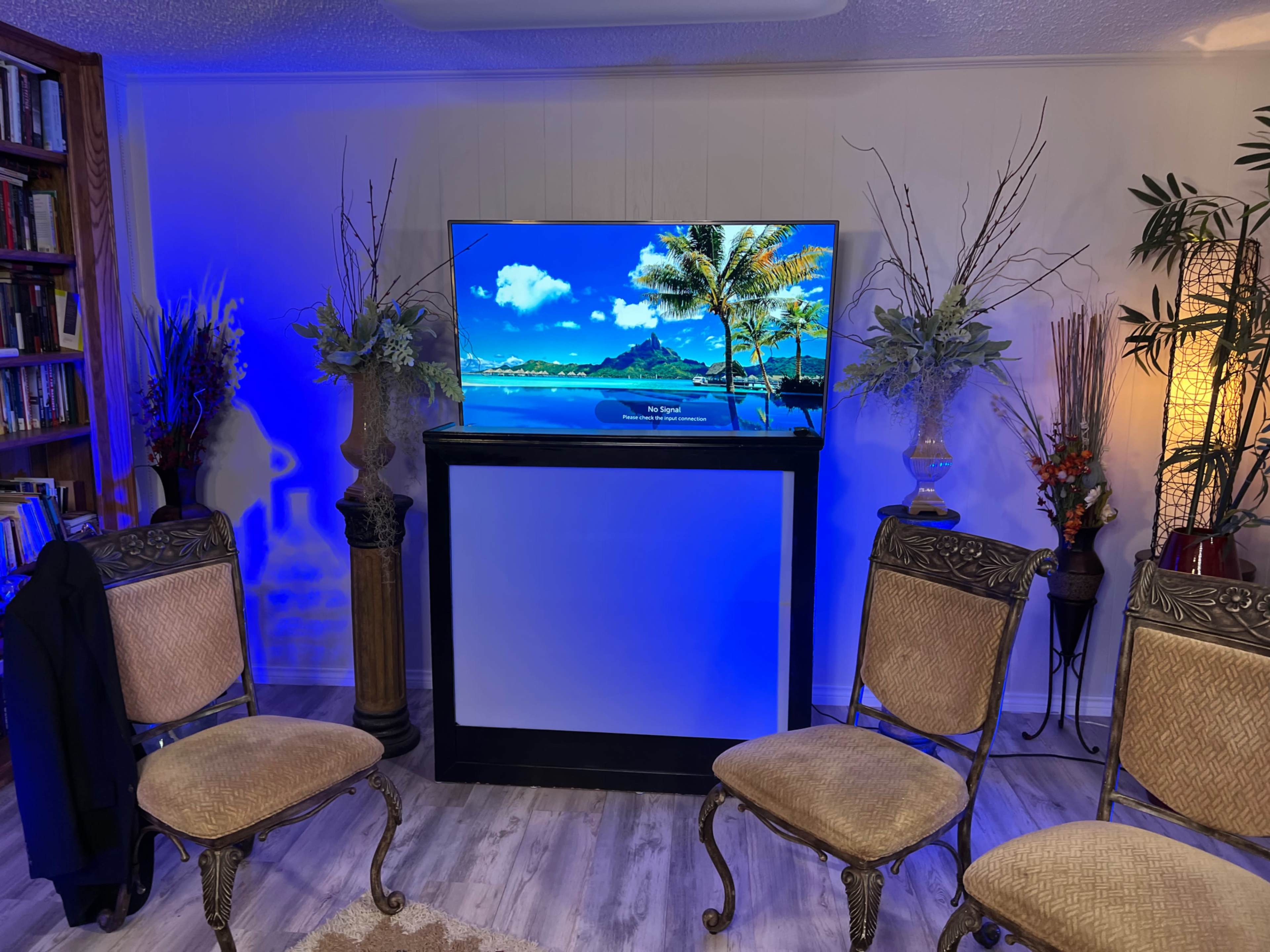 A modern living room setup features a television displaying a tropical scene, flanked by decorative plants and three chairs arranged in front.