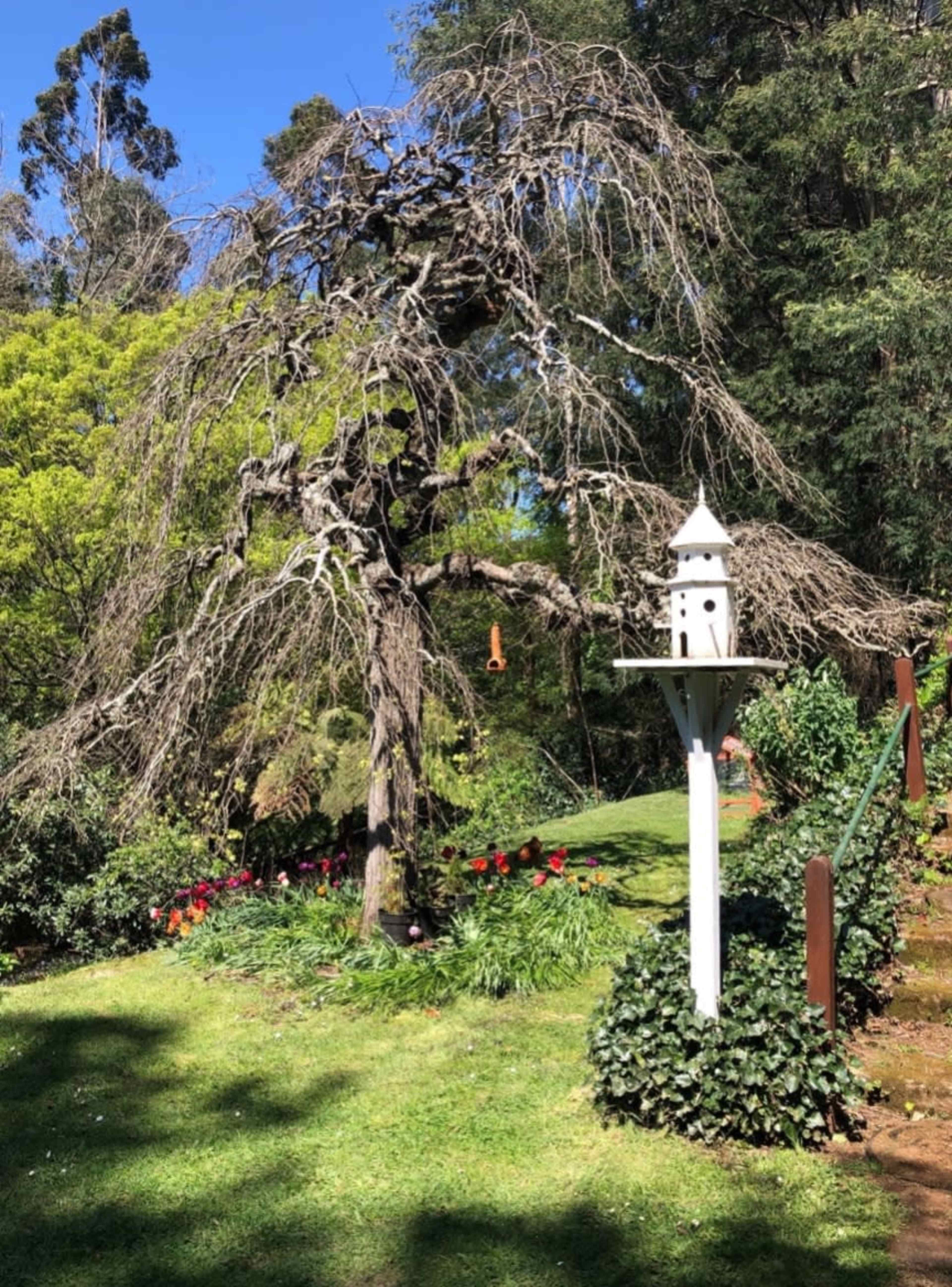 A bare tree stands next to a white birdhouse in a garden filled with green grass and colorful flowers.