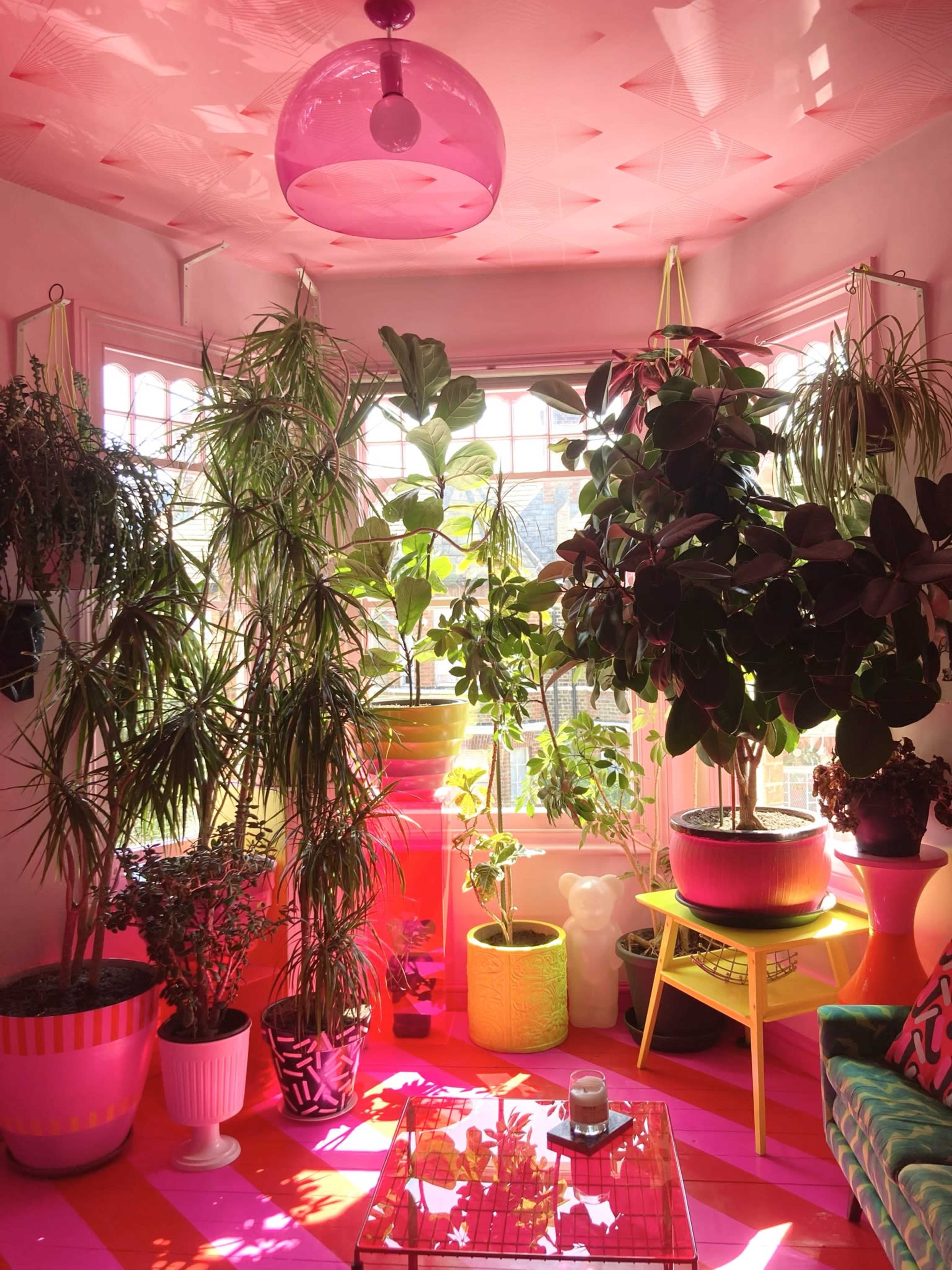 The room features a variety of potted plants arranged around a glass coffee table, with vibrant pink and yellow decor, and large windows letting in natural light.