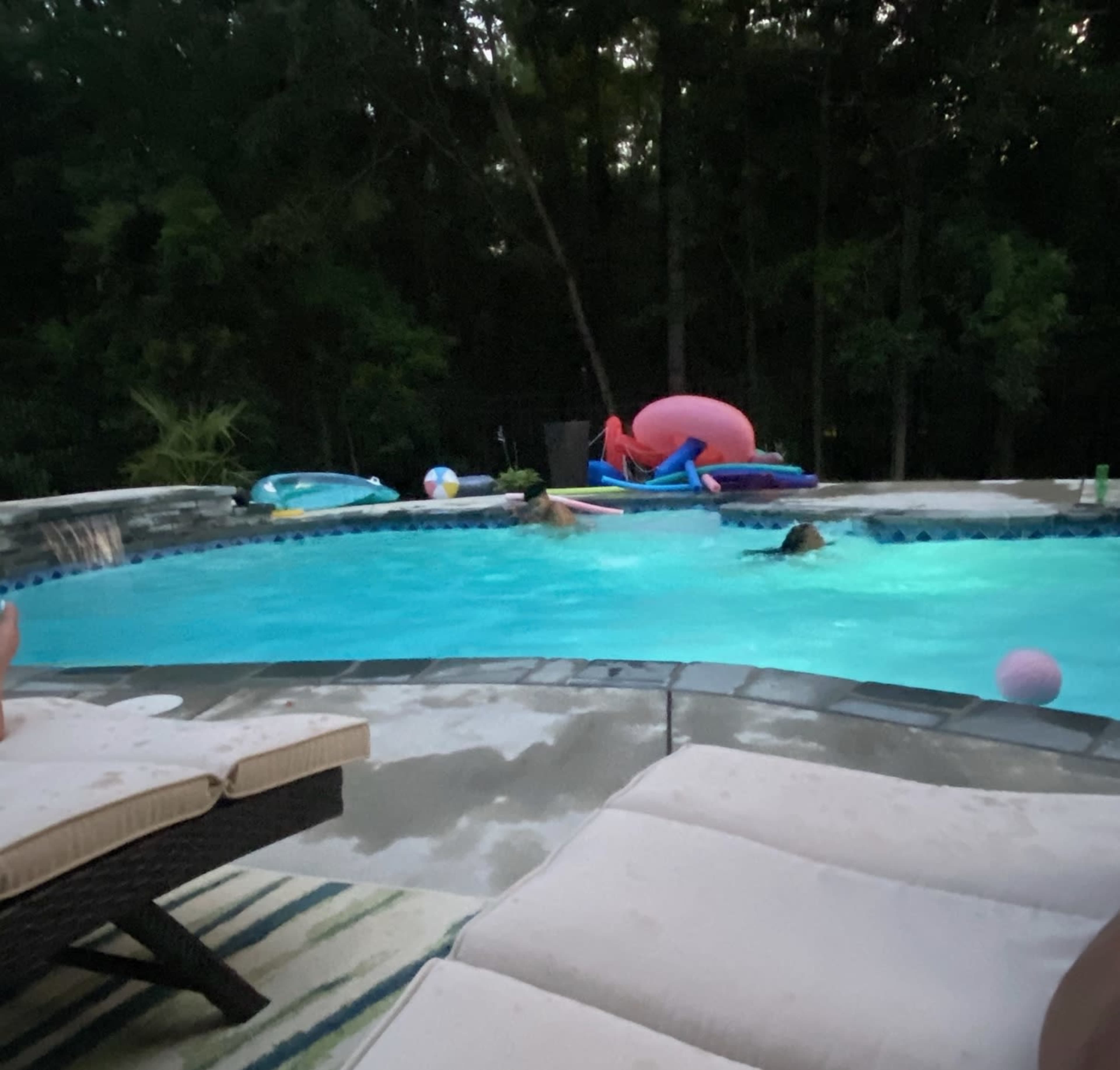 A swimming pool surrounded by lounge chairs and various floatation devices is set against a backdrop of trees.
