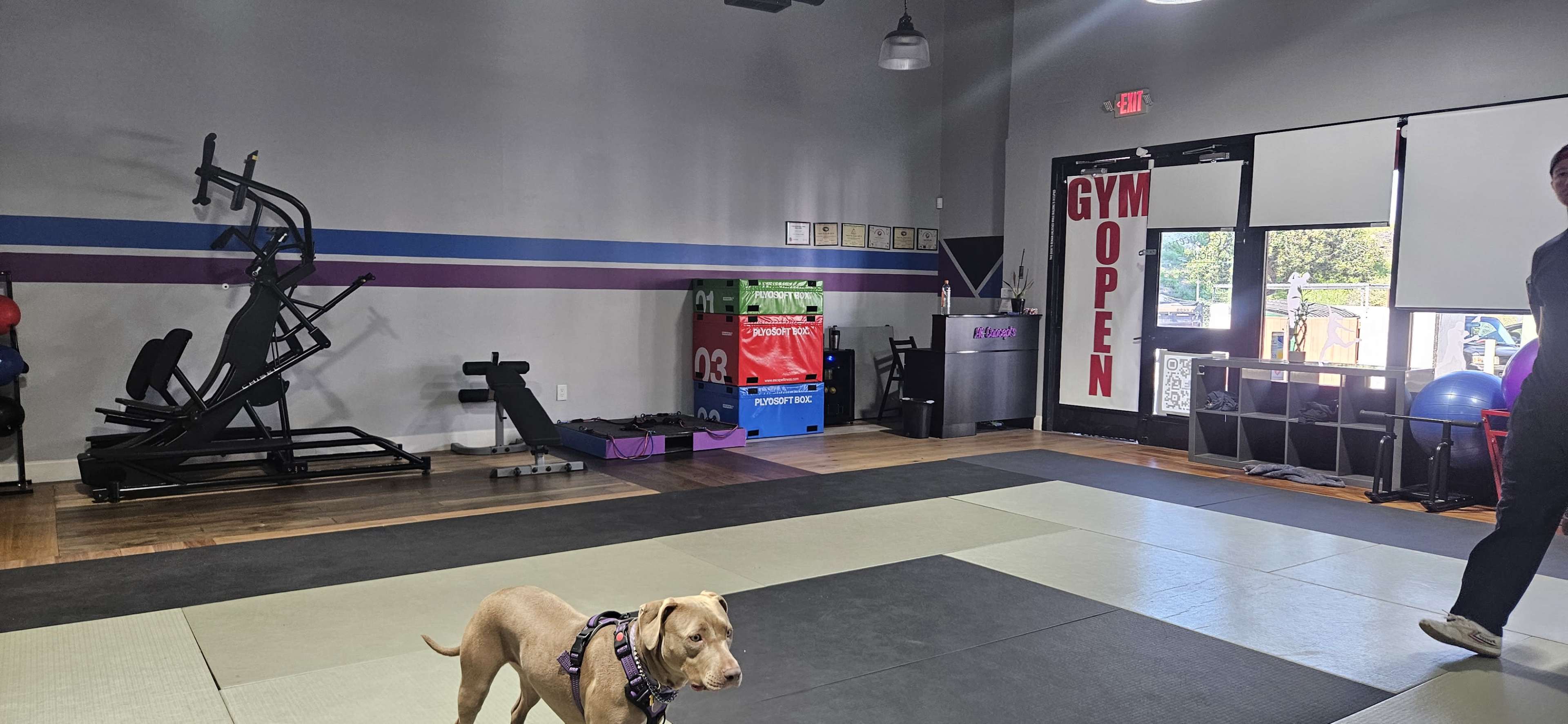 Big open Tatami floored workout space. Perfect for Yoga, Aerobics, Tai Chi , Zumba, Stretching and Movement. Plenty of parking, easy access centrally located in San Dimas CA. Image in San Dimas, San Dimas Ca United states, CA