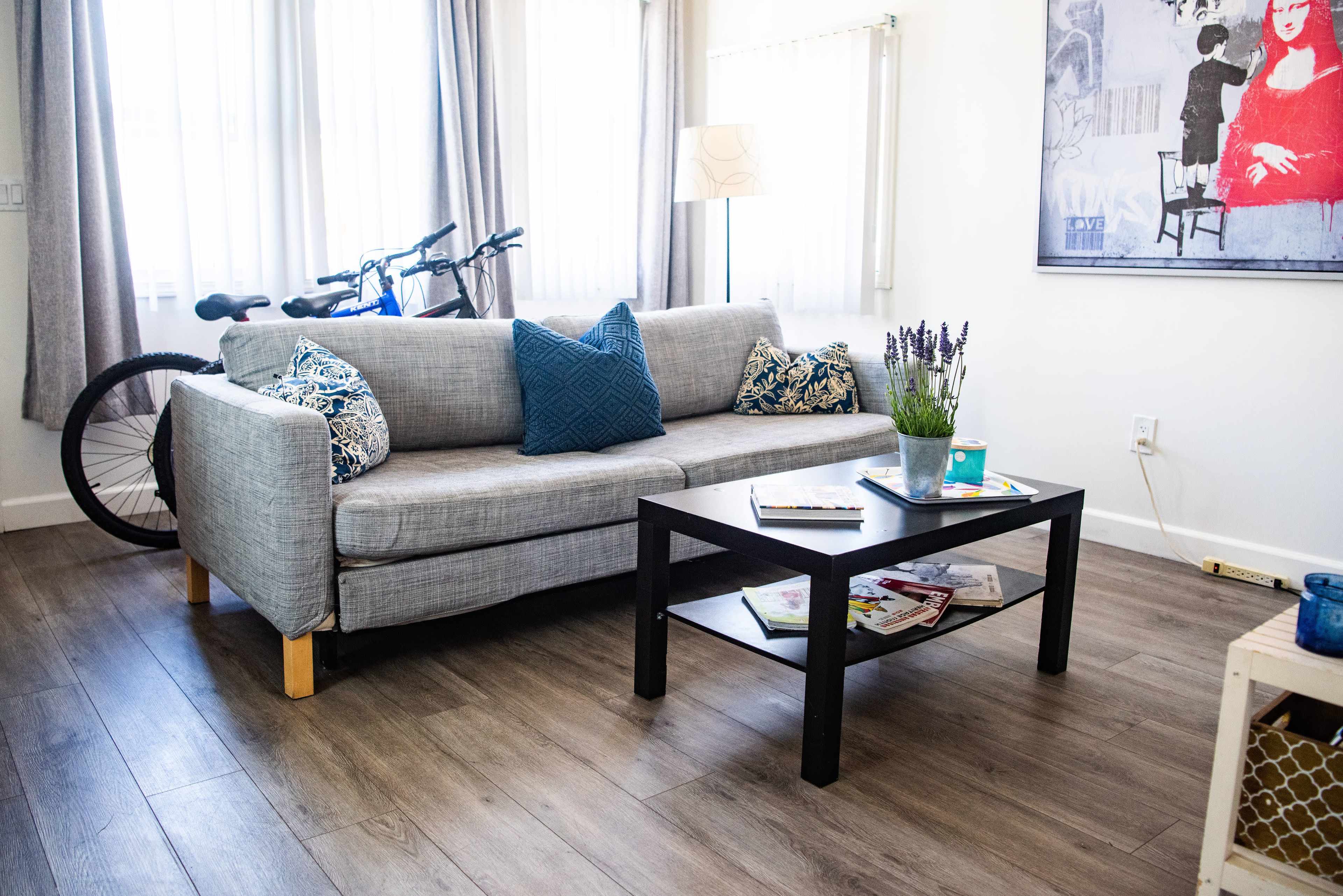 A gray sofa with decorative pillows and a black coffee table sits in a well-lit living room, featuring a bicycle leaning against the wall and a potted plant on the table.