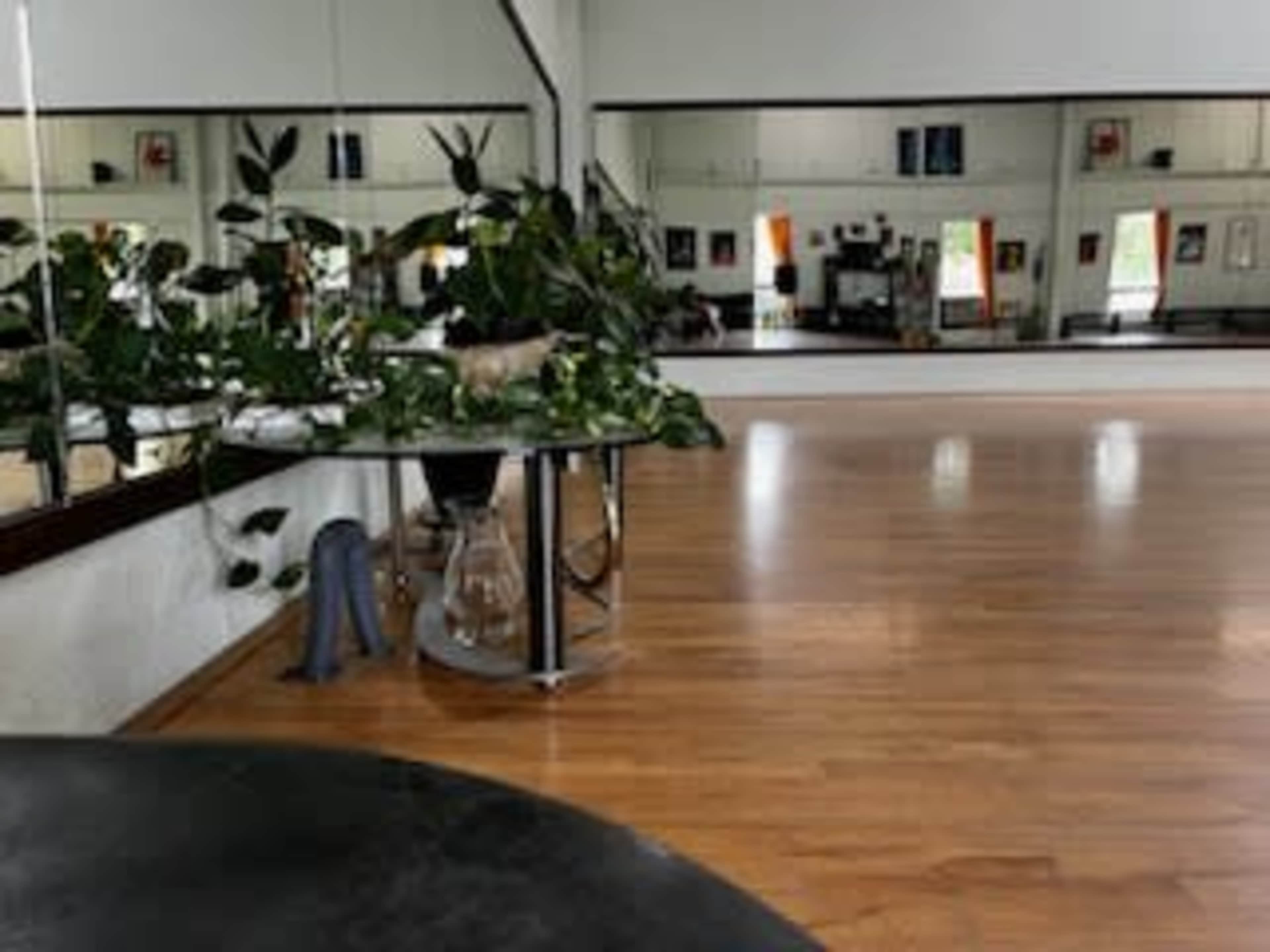 A spacious dance studio with wooden floors, large mirrors, and potted plants near a table.