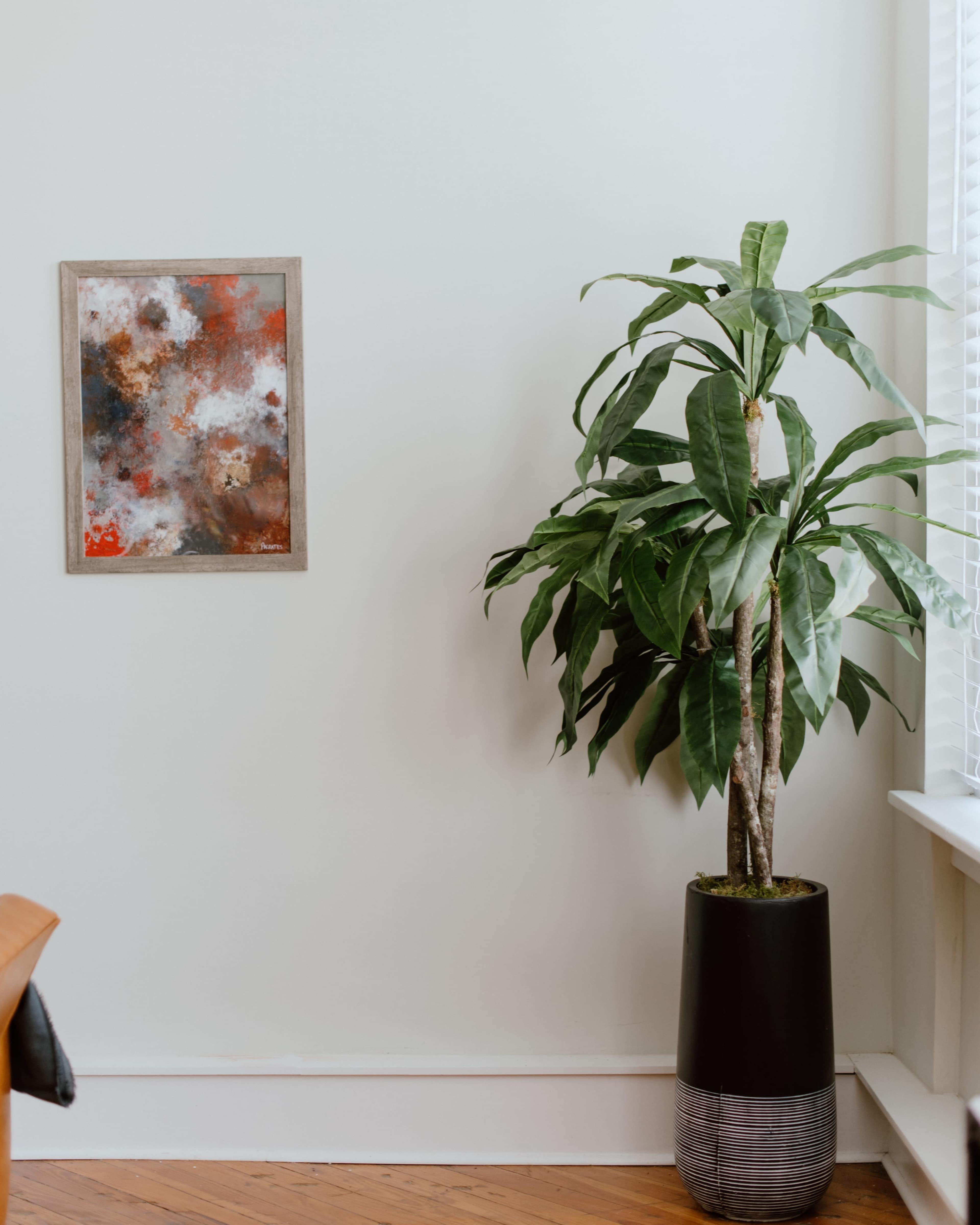 A potted plant stands beside a framed abstract painting on a light-colored wall in a room with wooden flooring.