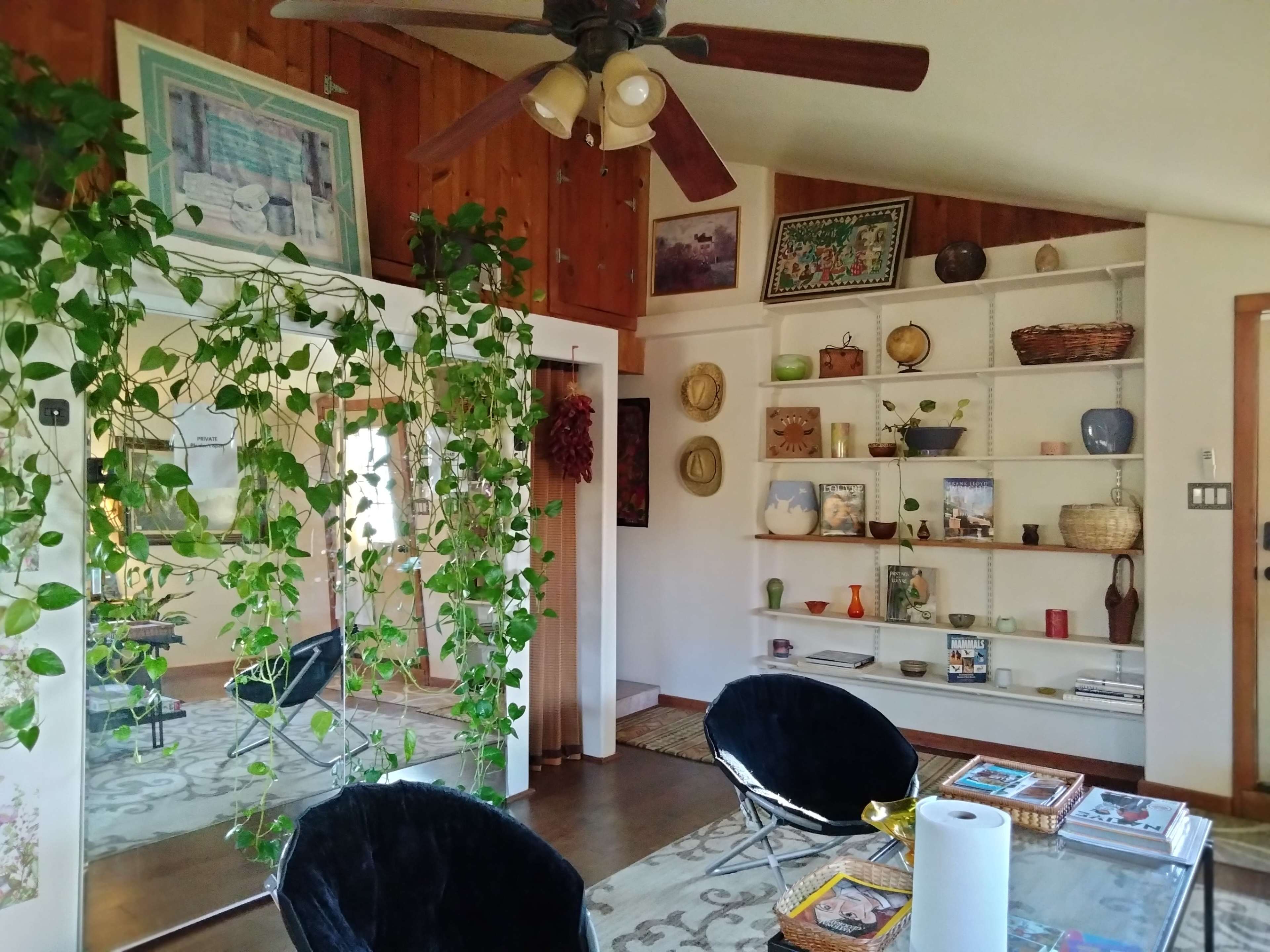 A living room with a ceiling fan, potted plants, a mirrored wall, and shelves displaying various decorative items.