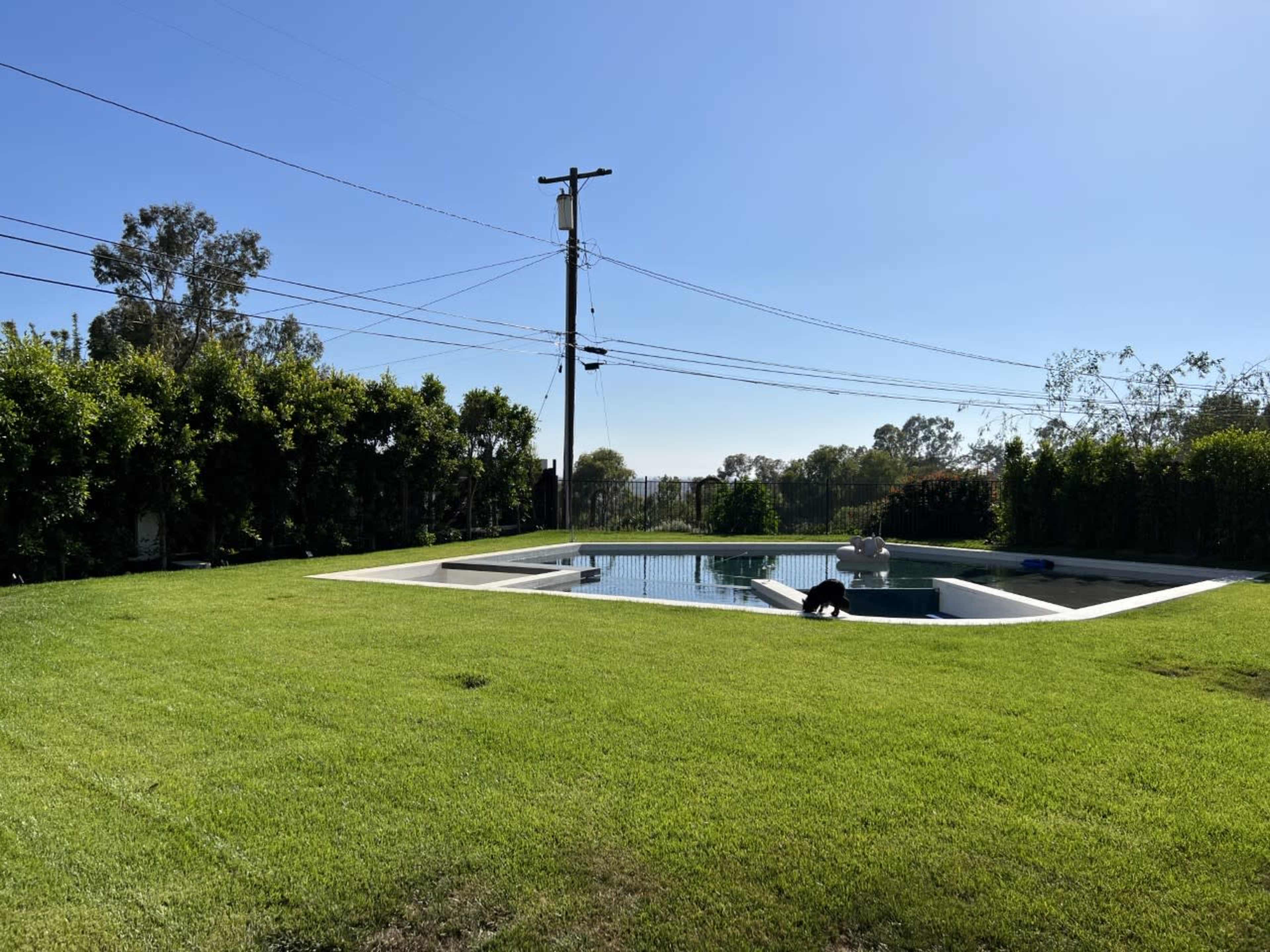 A clear blue sky overlooks a grassy yard with a swimming pool and a dog near the water's edge.