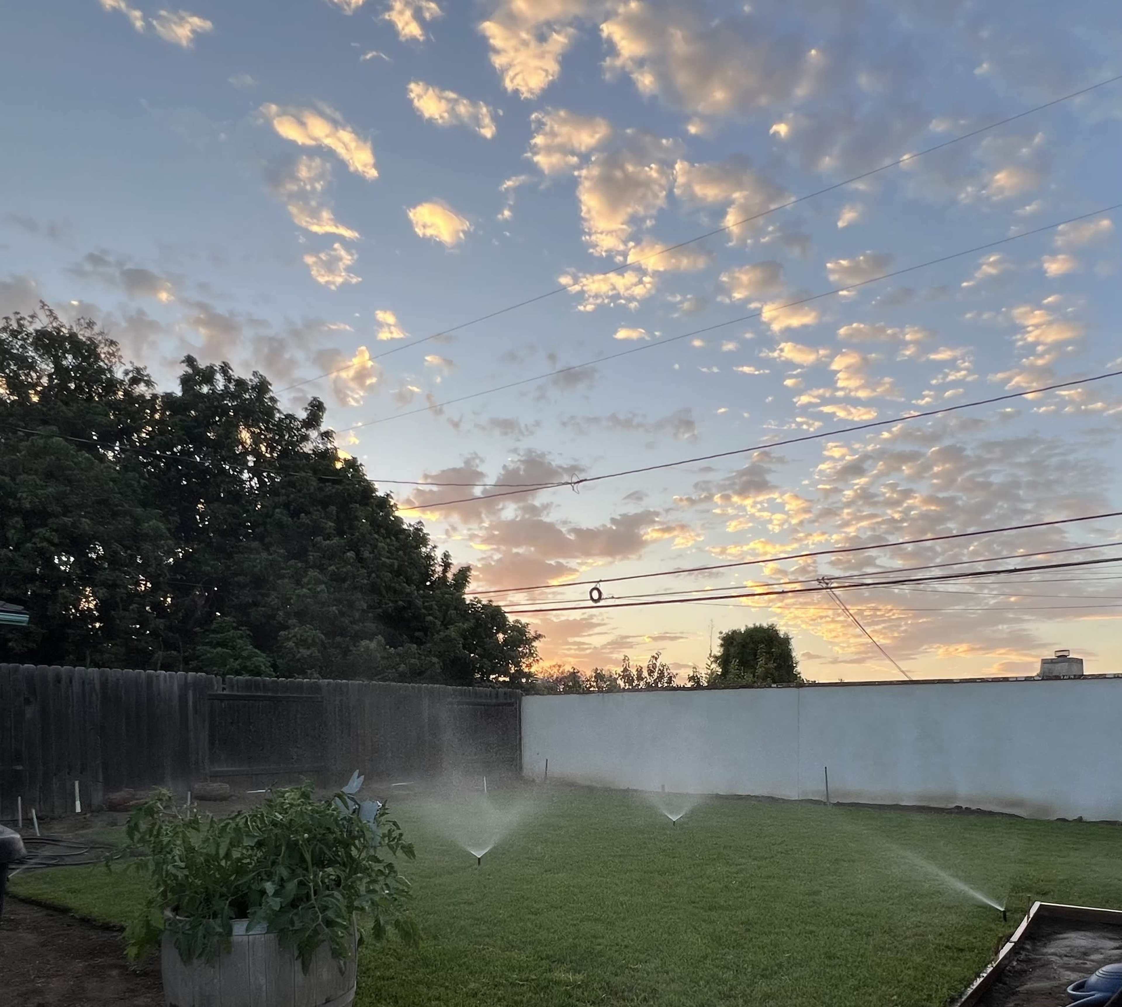 A lawn with grass and a garden bed is being watered by sprinklers under a cloudy sky at sunset.