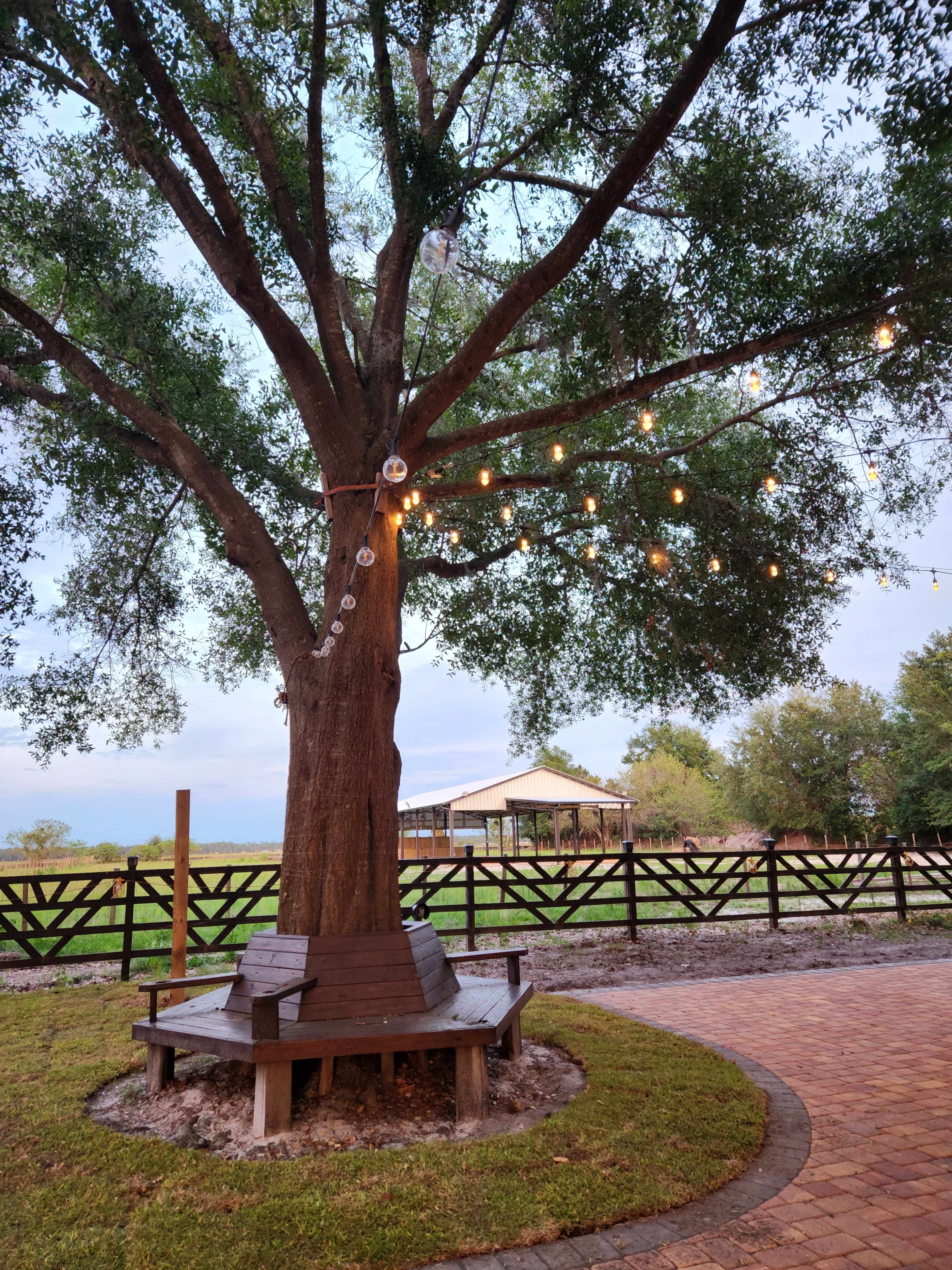 Ranch, Lake Nona area ,Outdoor covered patio with outside, romantic, boho, rustic Image in , St cloud, FL