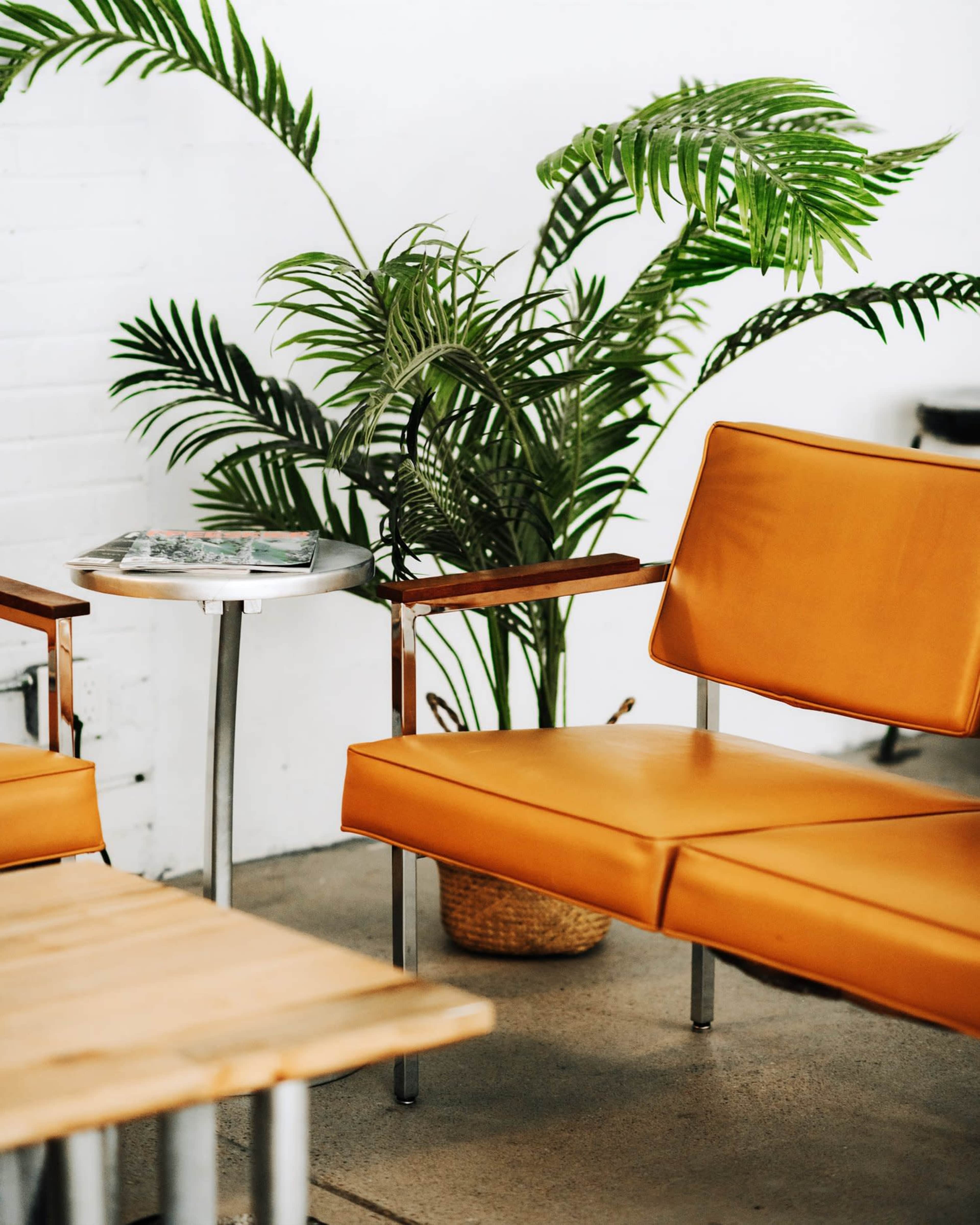 A modern seating area features an orange leather chair next to a small table and a tall green potted plant in a minimalist setting.