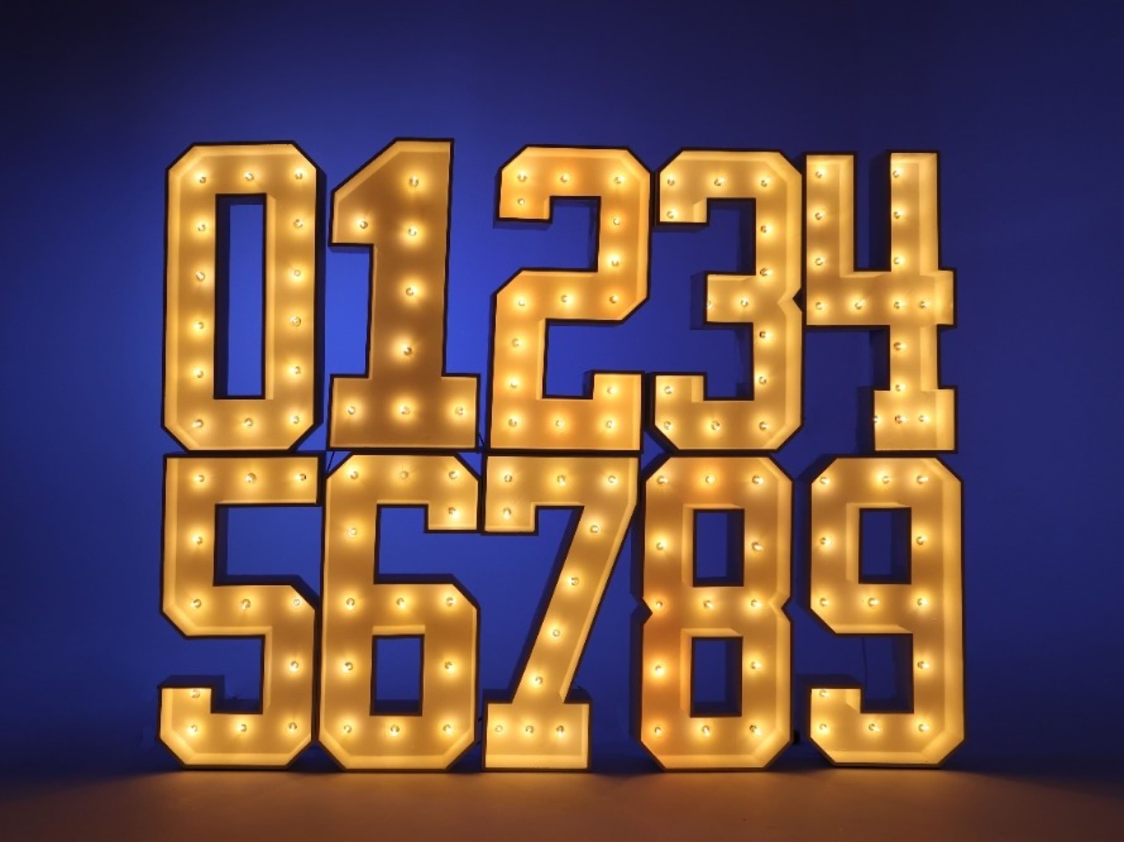3ft LED Marquee Letter & Number Lights