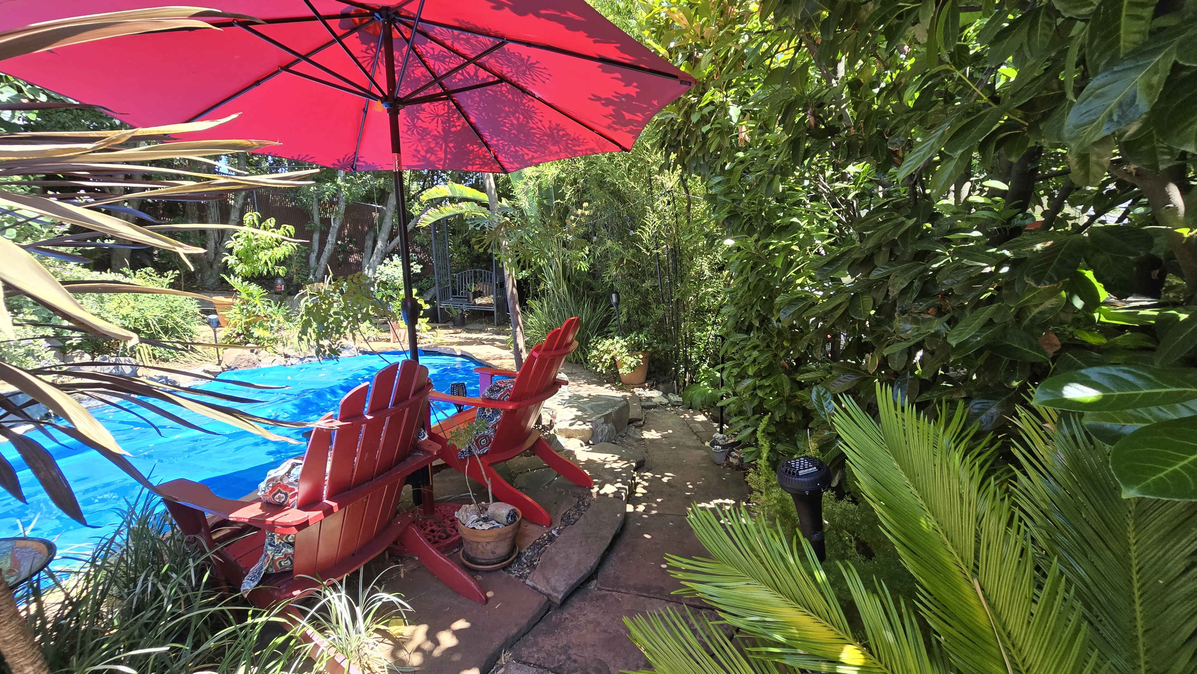 A vibrant backyard features two red Adirondack chairs under a large umbrella beside a blue pool surrounded by lush greenery.
