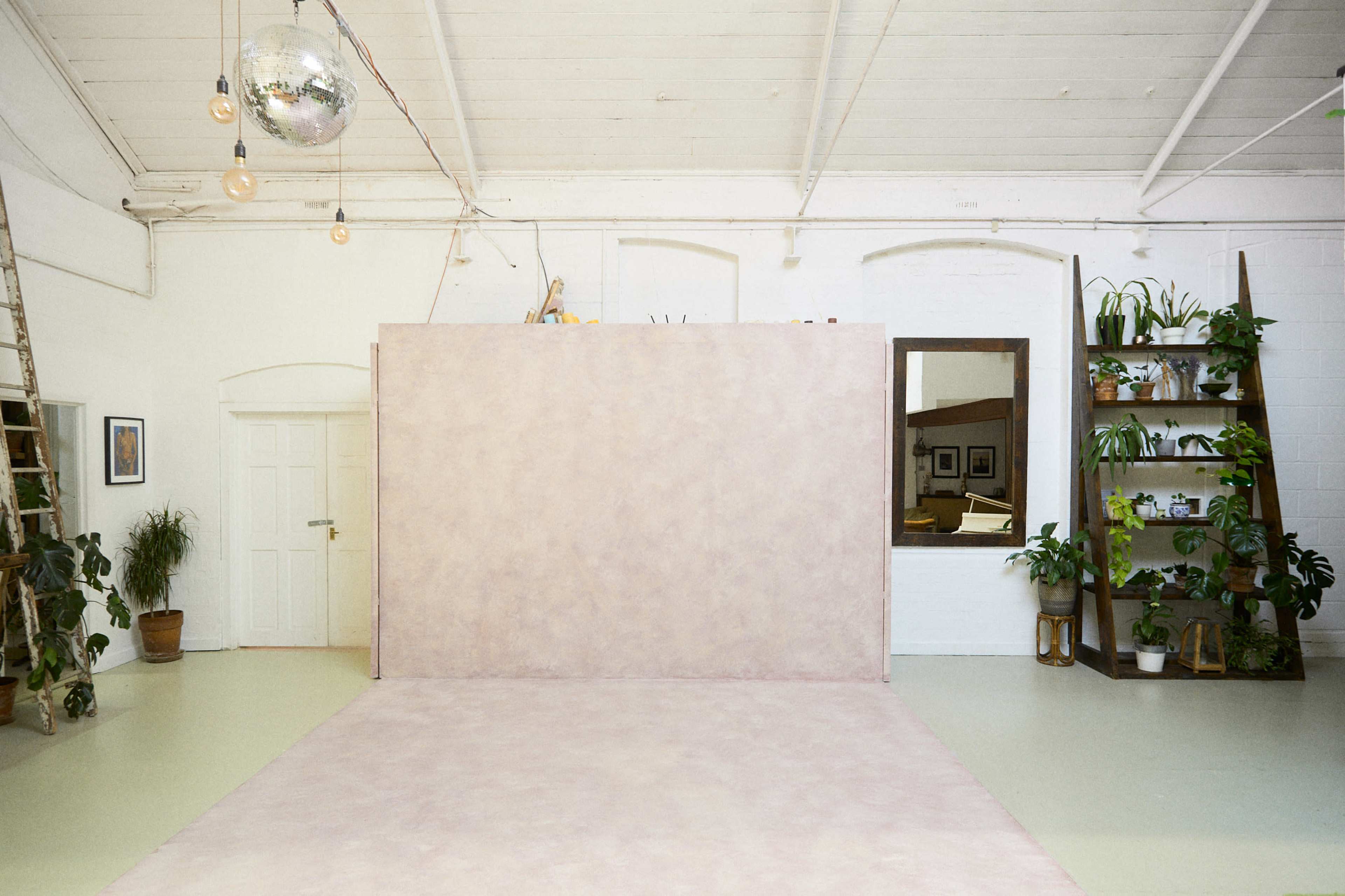 An empty studio space features a pink backdrop, a large mirror, and various plants displayed on shelves.