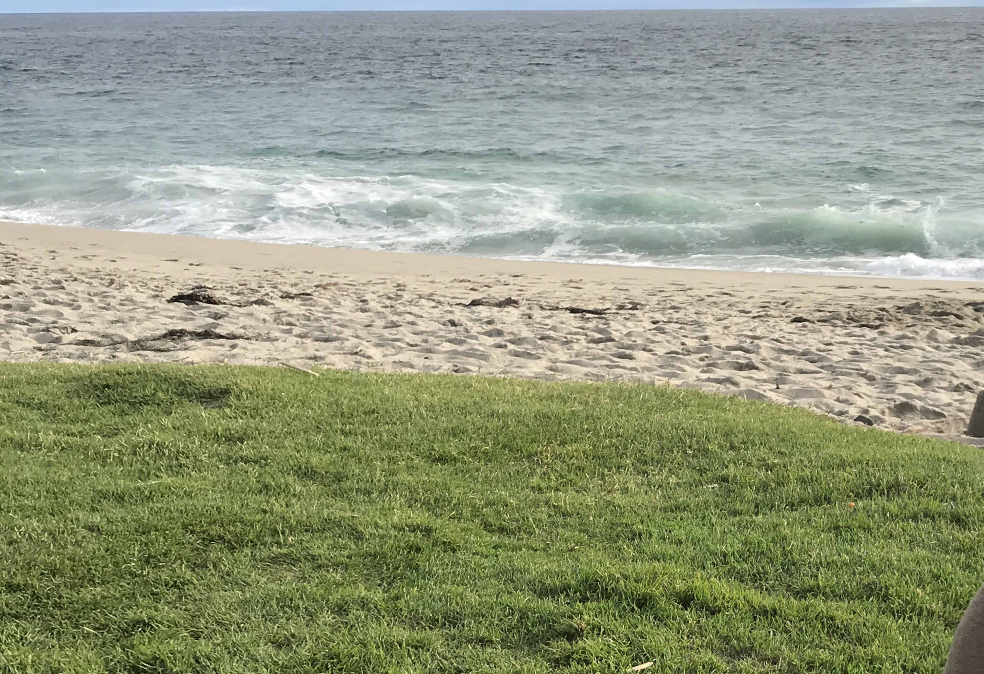 A sandy beach stretches alongside gentle ocean waves under a clear sky.