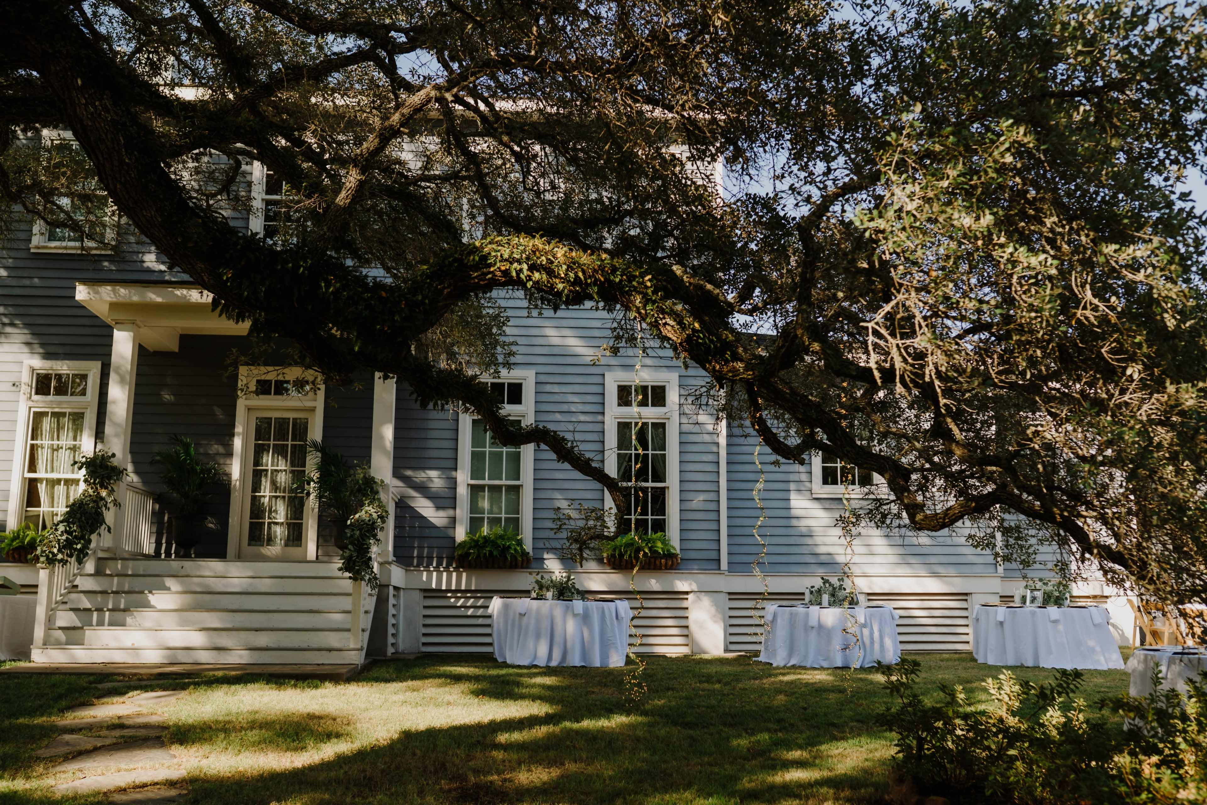 Split Oak Estate- Large live Oaks with several areas for photography Image in , Cat Spring, TX