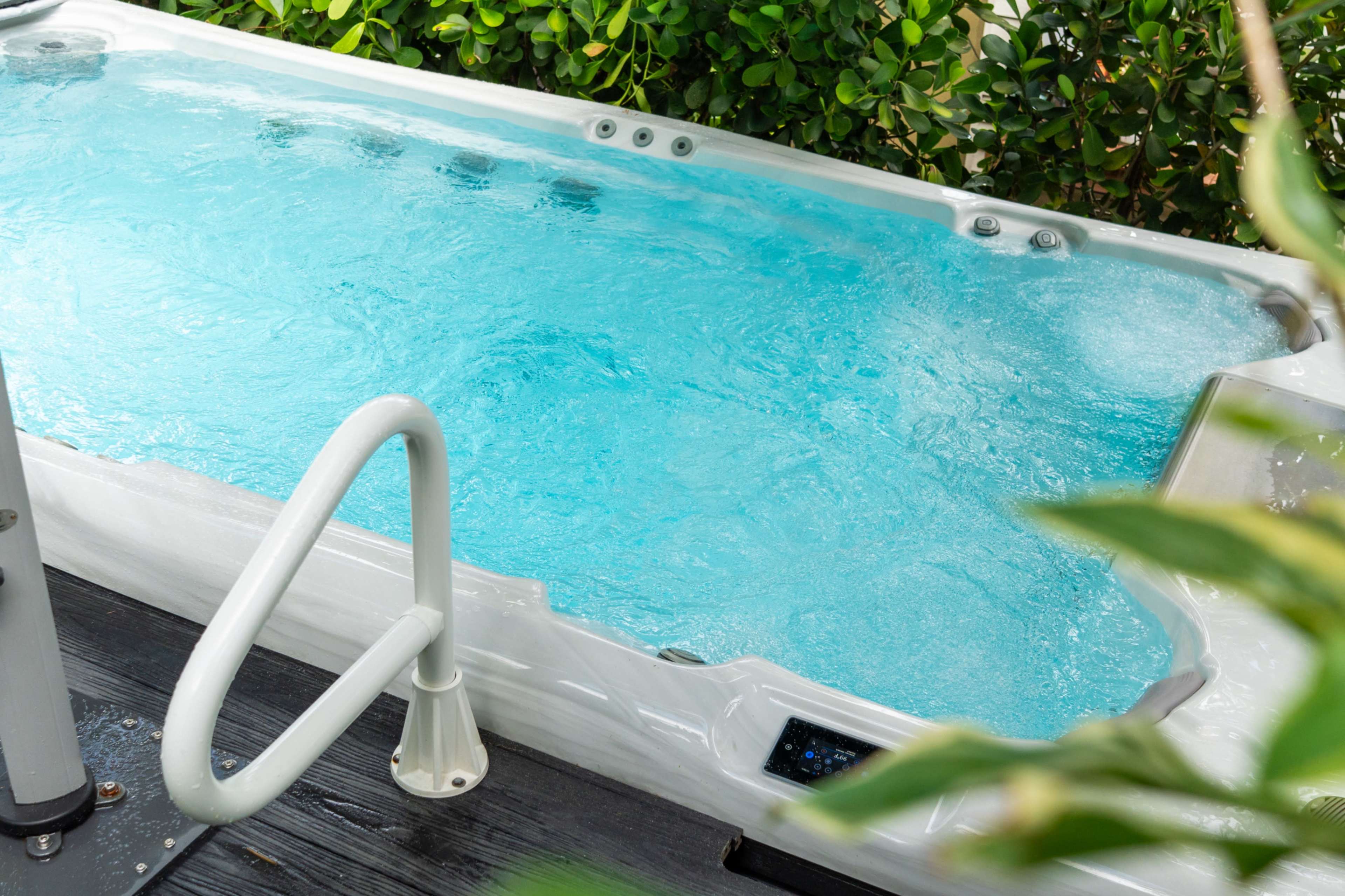 A hot tub filled with clear blue water is surrounded by lush green foliage.