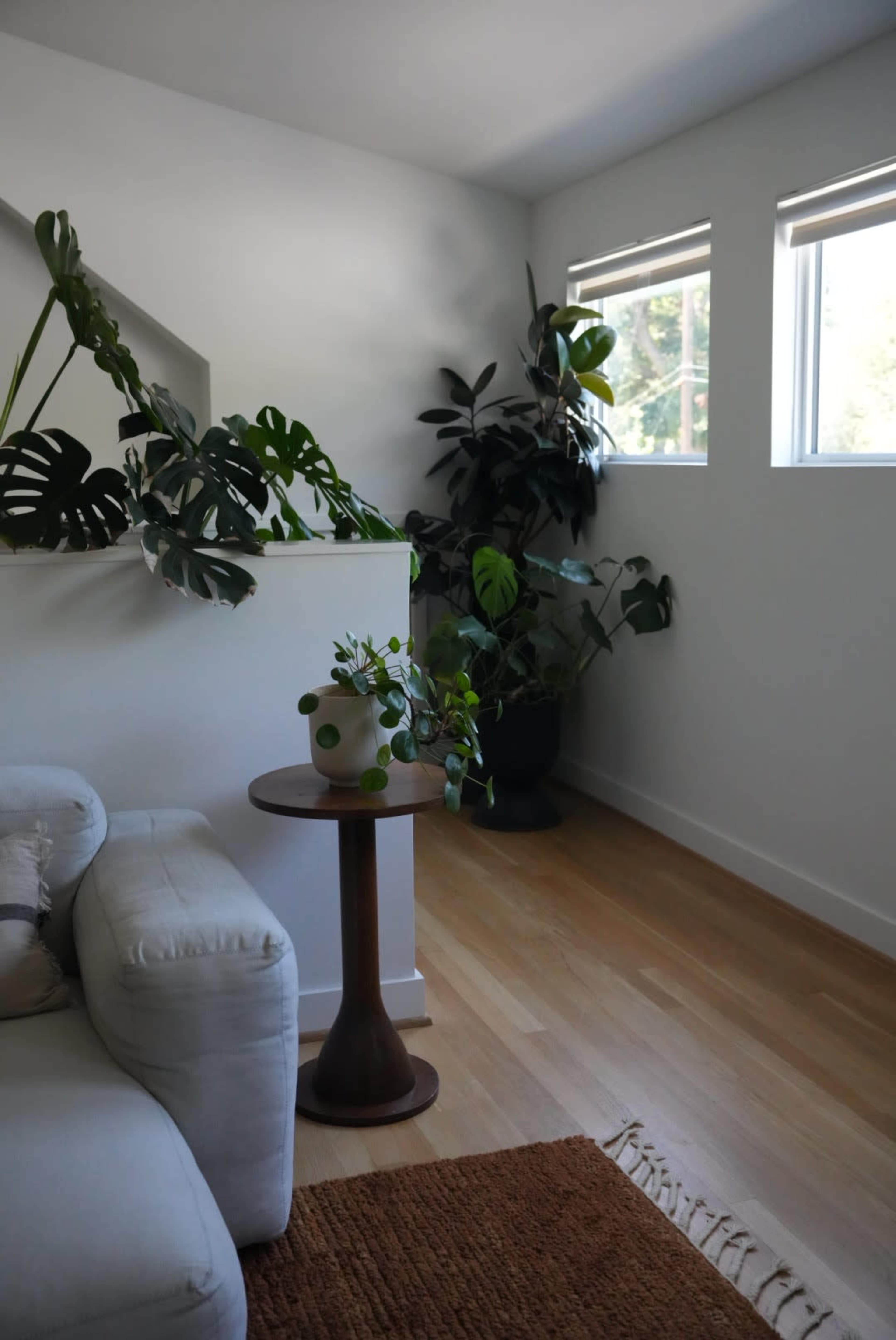 A light-filled corner of a room features a white couch, a small round table, and several indoor plants strategically placed near two windows.