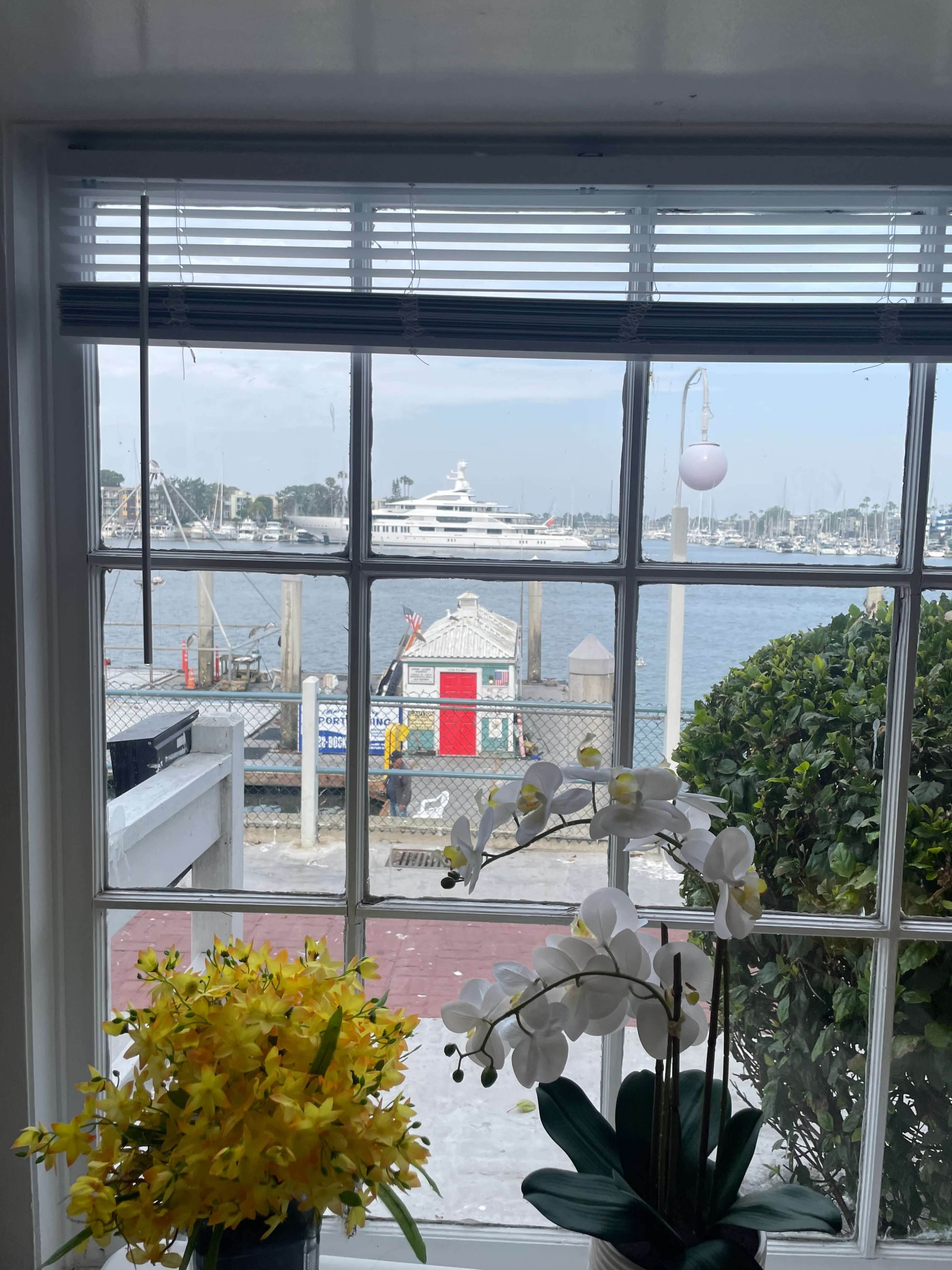 The scene shows a view through a window, framed by white blinds, revealing a marina with a large yacht and a colorful dockside building.
