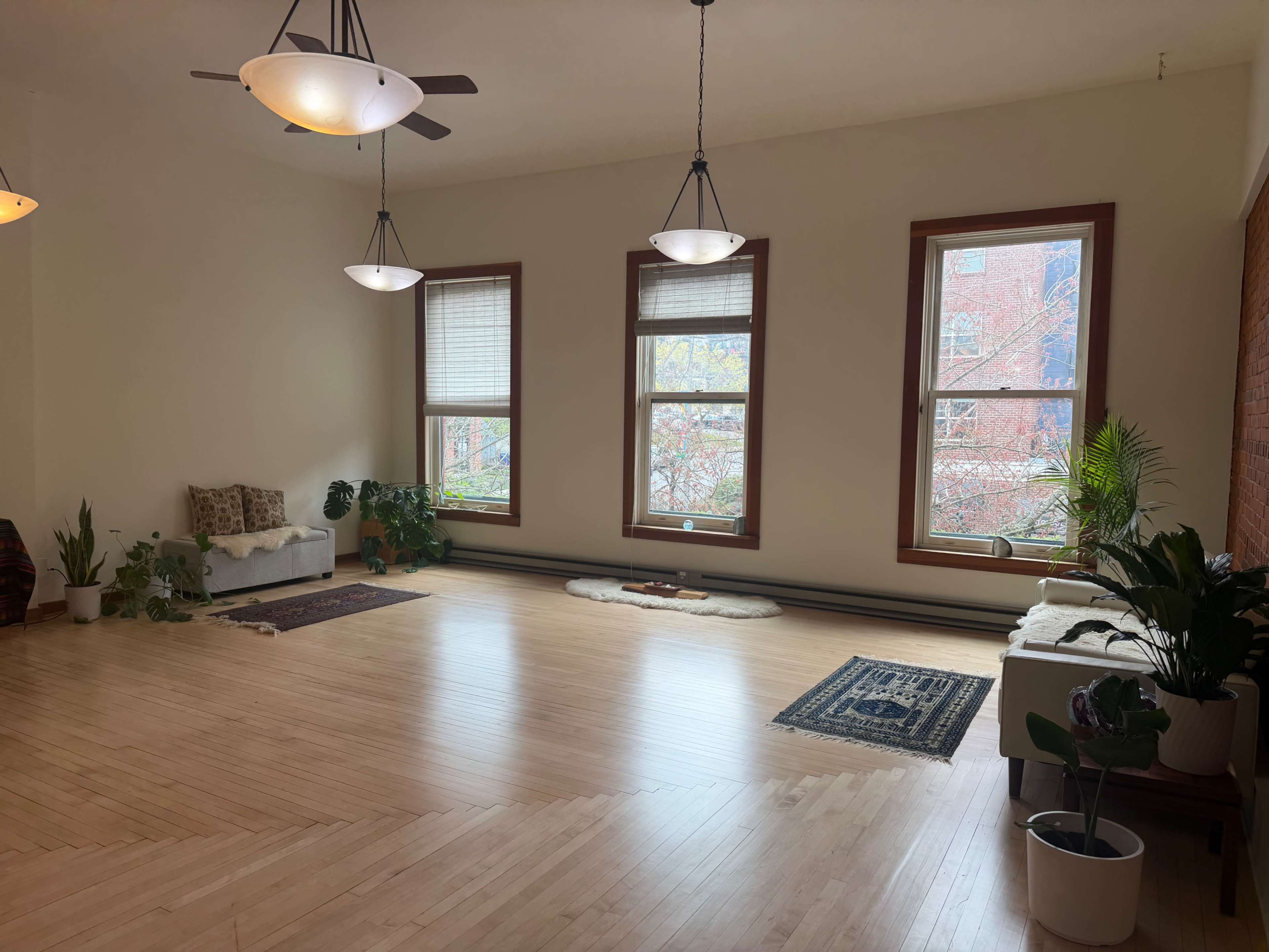 The image shows a spacious, well-lit room with wooden flooring, large windows allowing natural light, and various plants and seating arrangements.