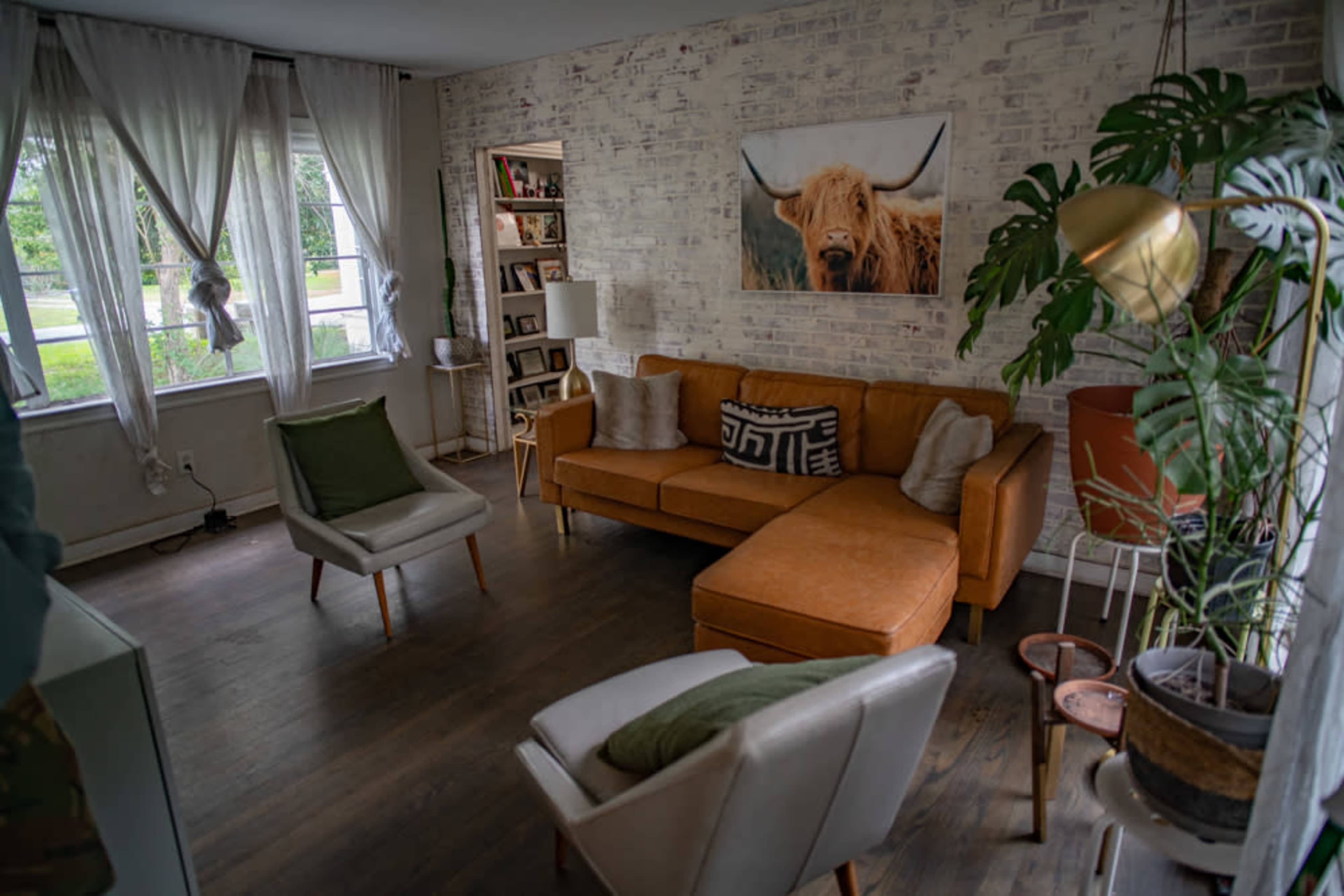 The image shows a cozy living room with a brown sectional sofa, two white chairs, a large plant, and a decorative wall featuring a framed picture of a cow.