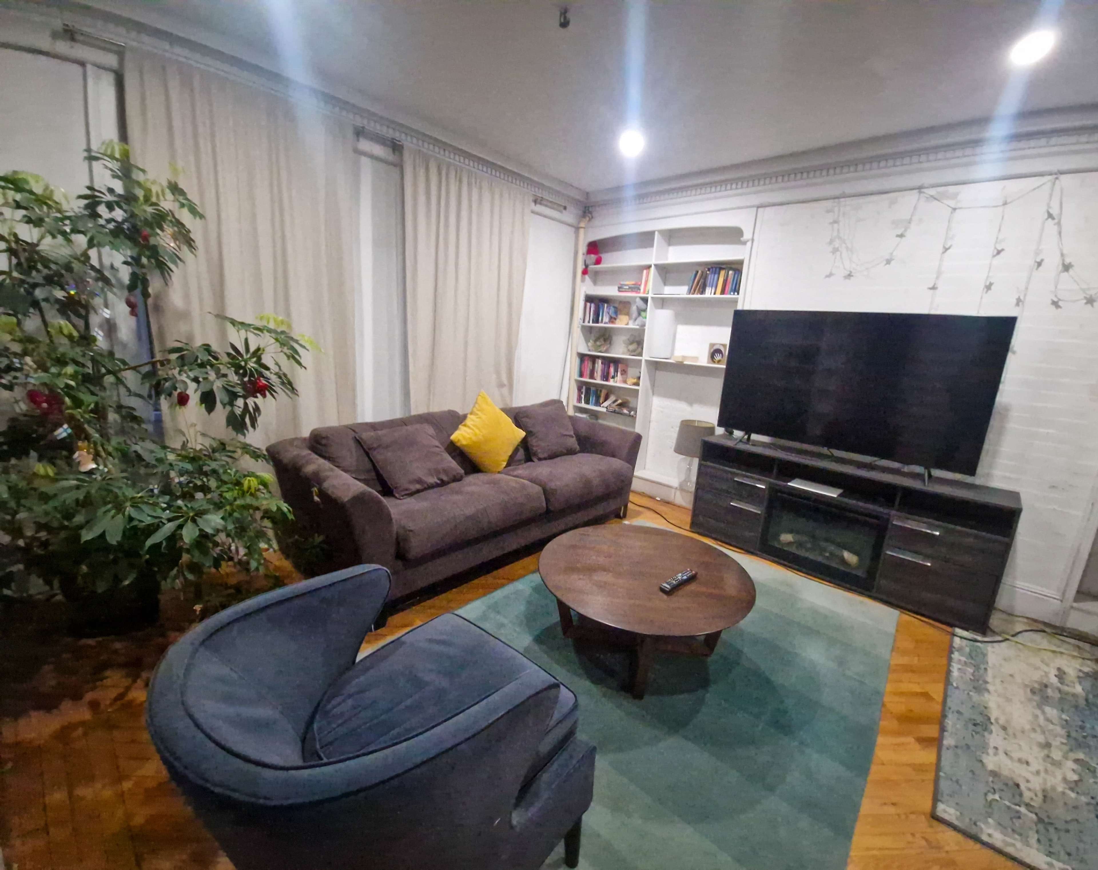 The image shows a living room with a brown couch, a blue armchair, a round coffee table, a television on a stand, and bookshelves lined with books, alongside a potted plant.