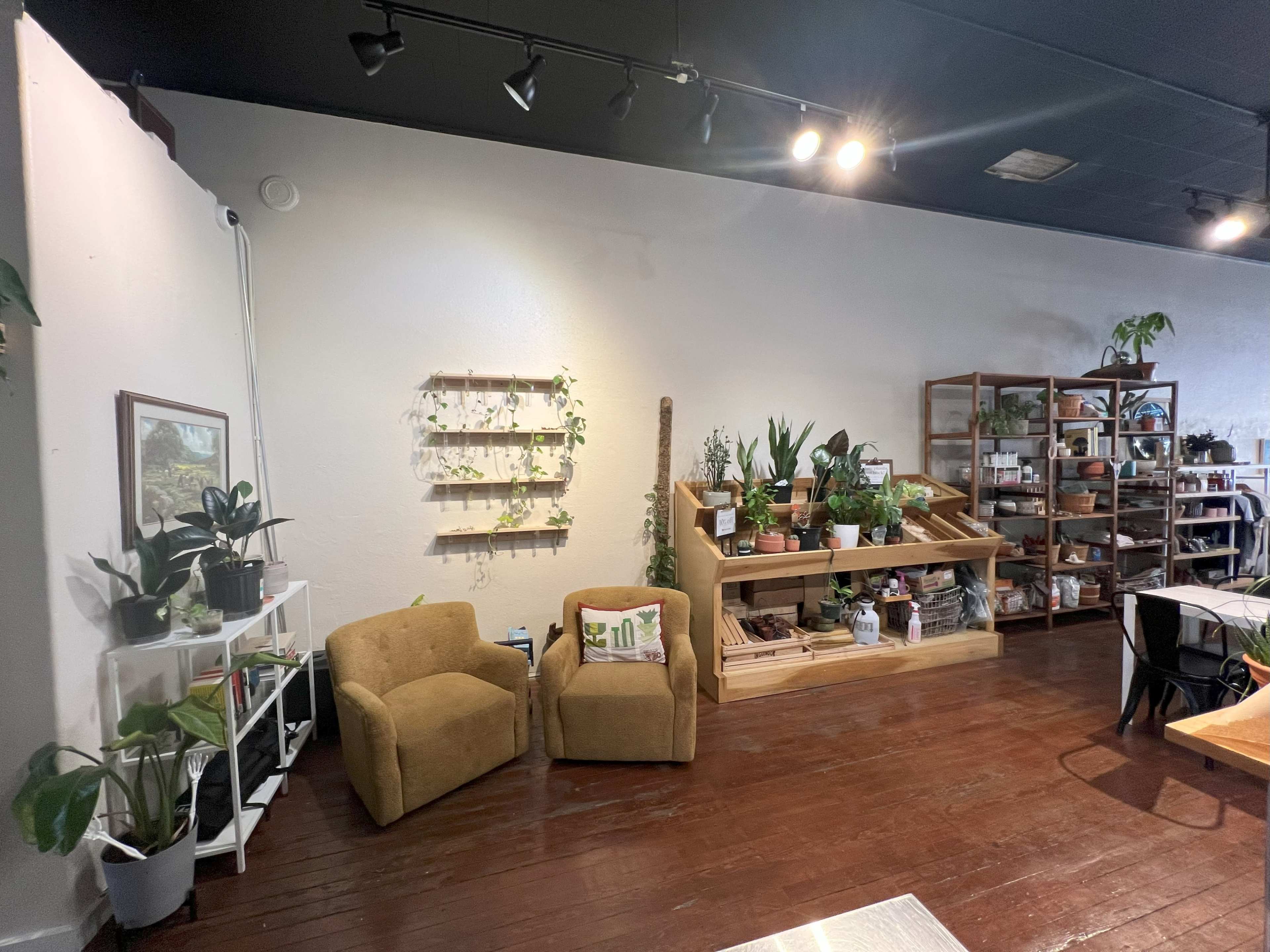 Spacious and cozy cafe on the historical downtown square of Lockhart, TX Image in Lockhart, Lockhart, TX