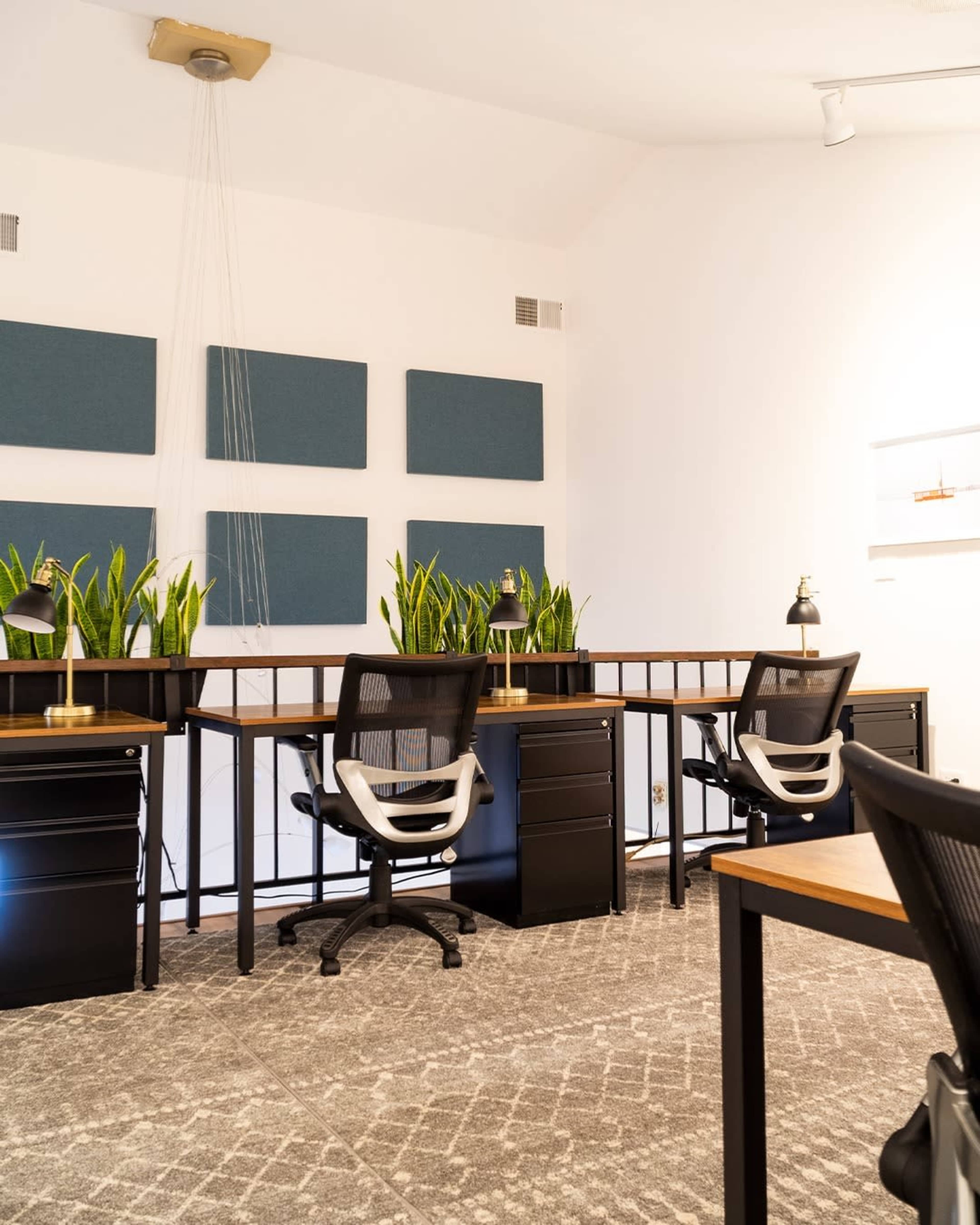 A modern office space featuring two desks with ergonomic chairs, green plants on the desks, and acoustic panels on the wall.