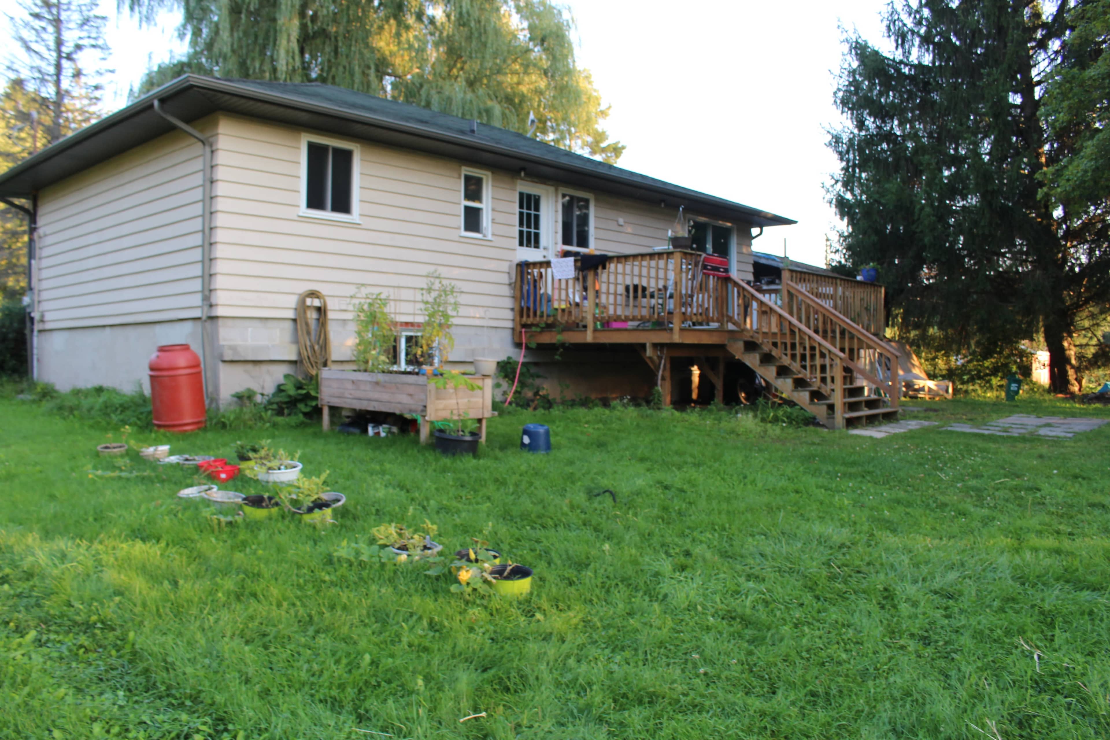 A single-story house with a wooden deck and stairs is set against a grassy yard with various potted plants and a storage barrel.