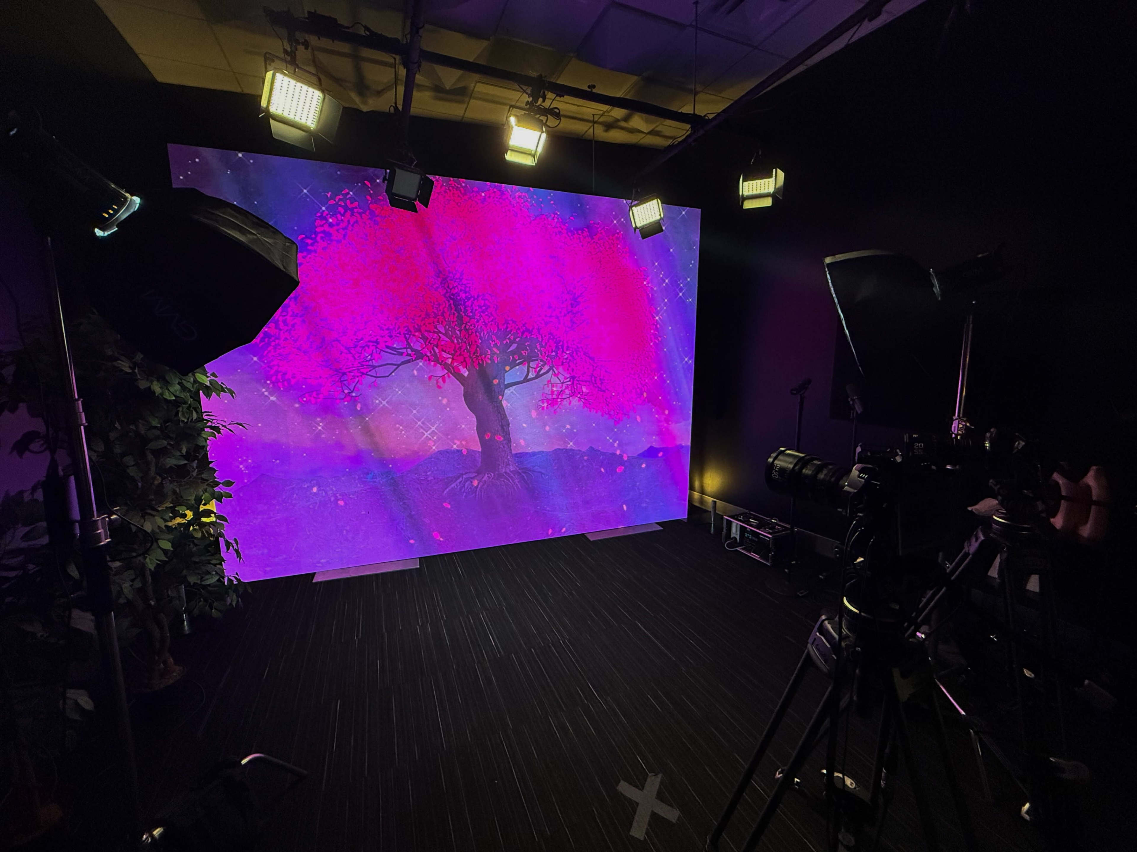 A studio setup features a large screen displaying a colorful tree against a starry background, surrounded by camera equipment and lighting.