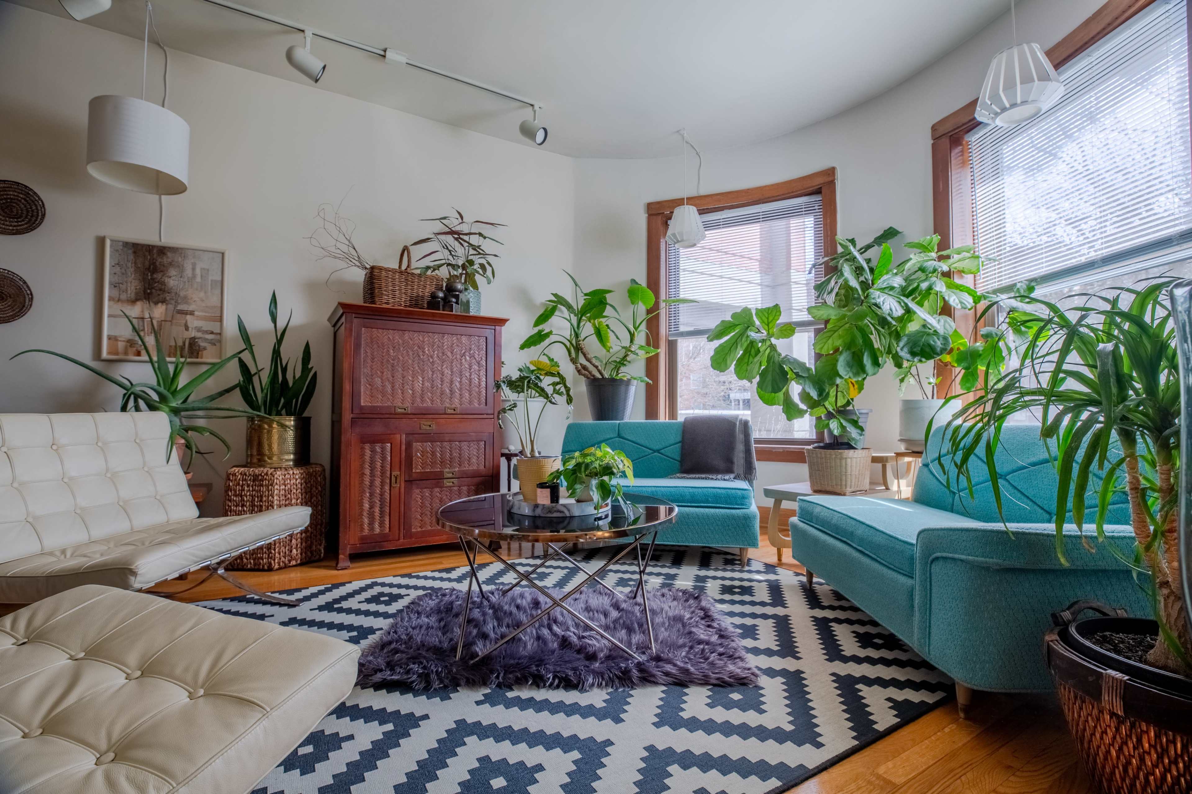 The image shows a well-furnished living room featuring teal sofas, a white leather chair, a round coffee table, various indoor plants, and large windows with natural light.