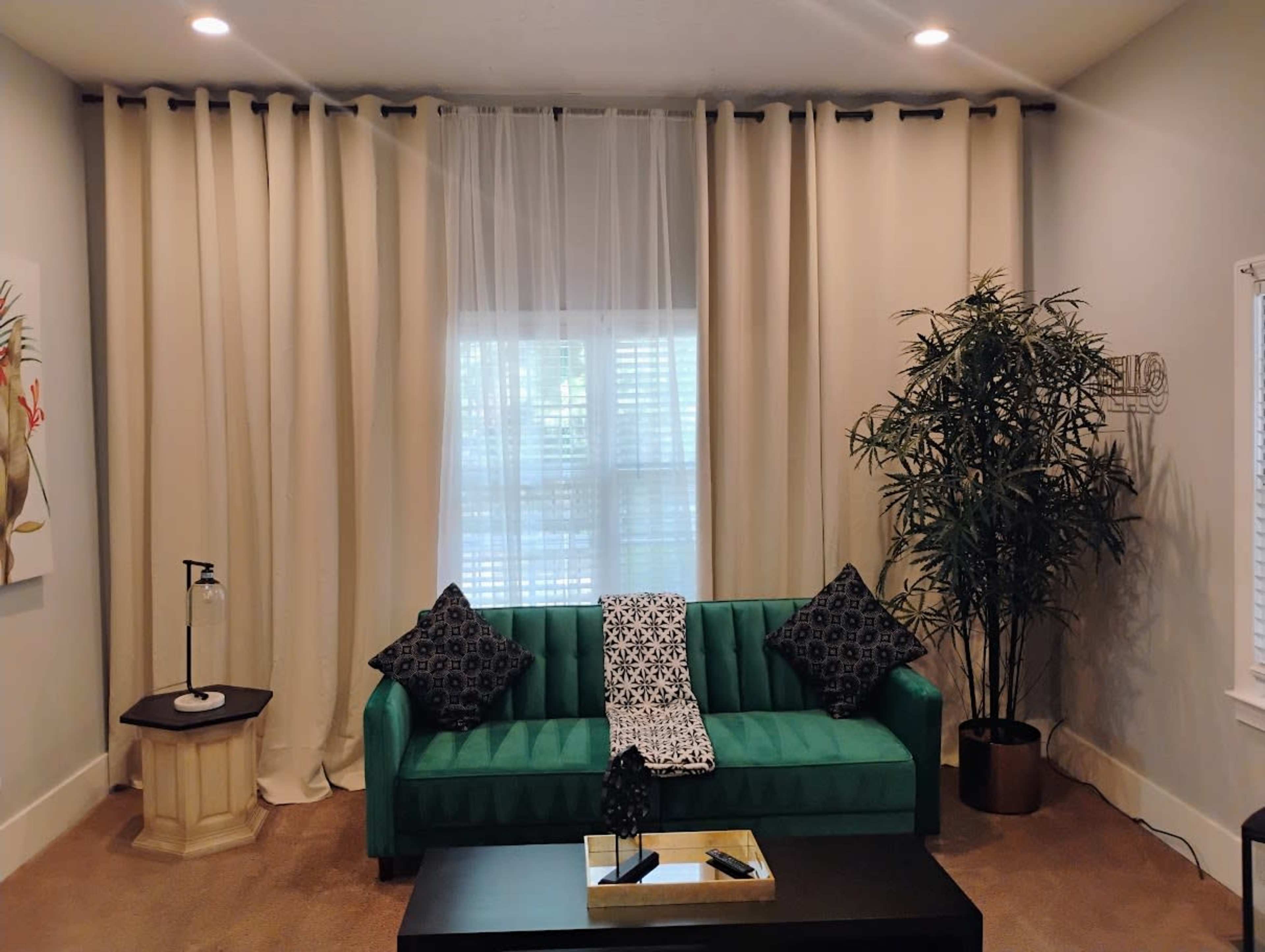 The image shows a living room with a green couch adorned with black-patterned pillows, a small side table, and a potted plant beside a large window covered with sheer and solid curtains.