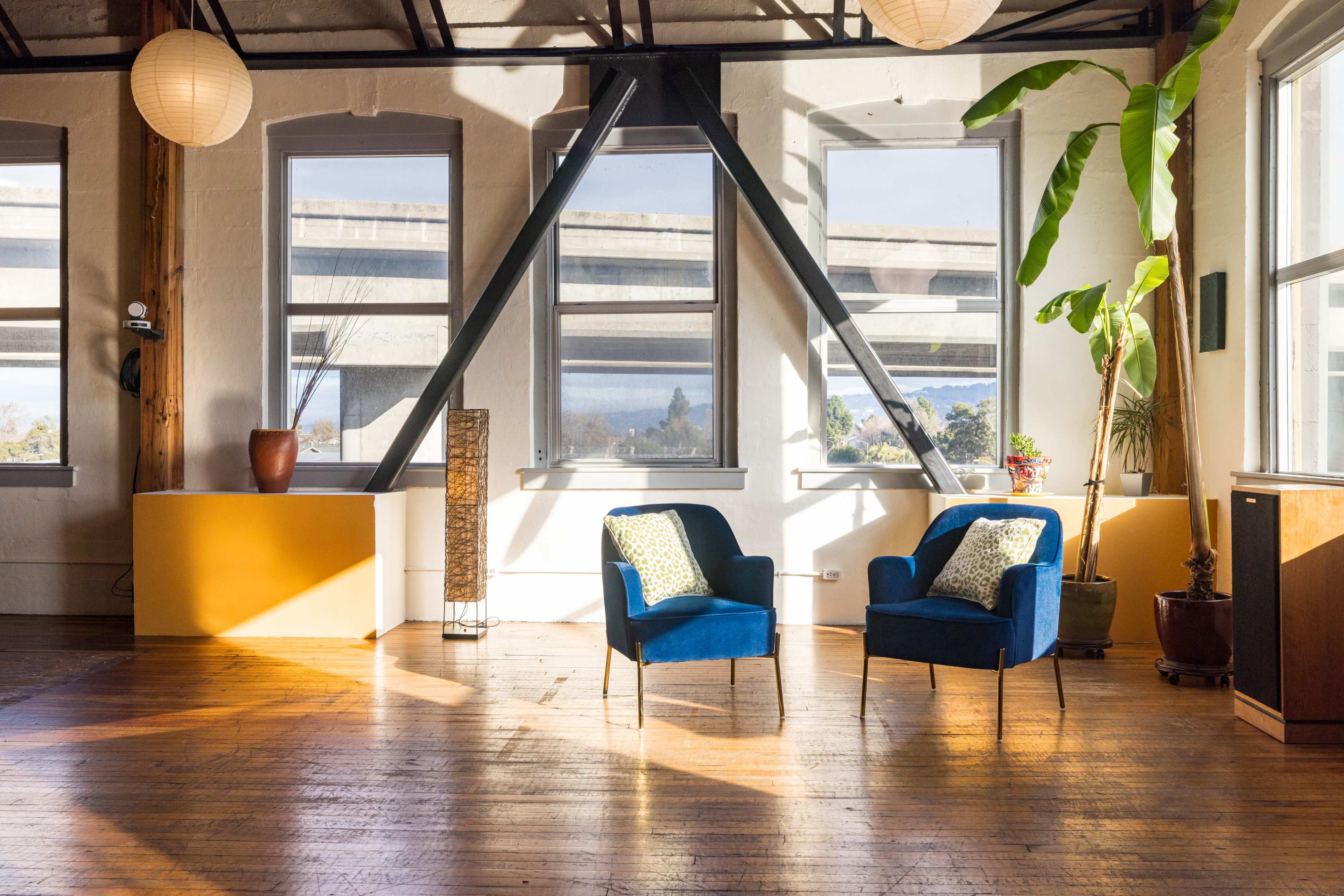 The image shows a bright room with large windows, two blue chairs positioned facing each other, and a potted plant in the corner.