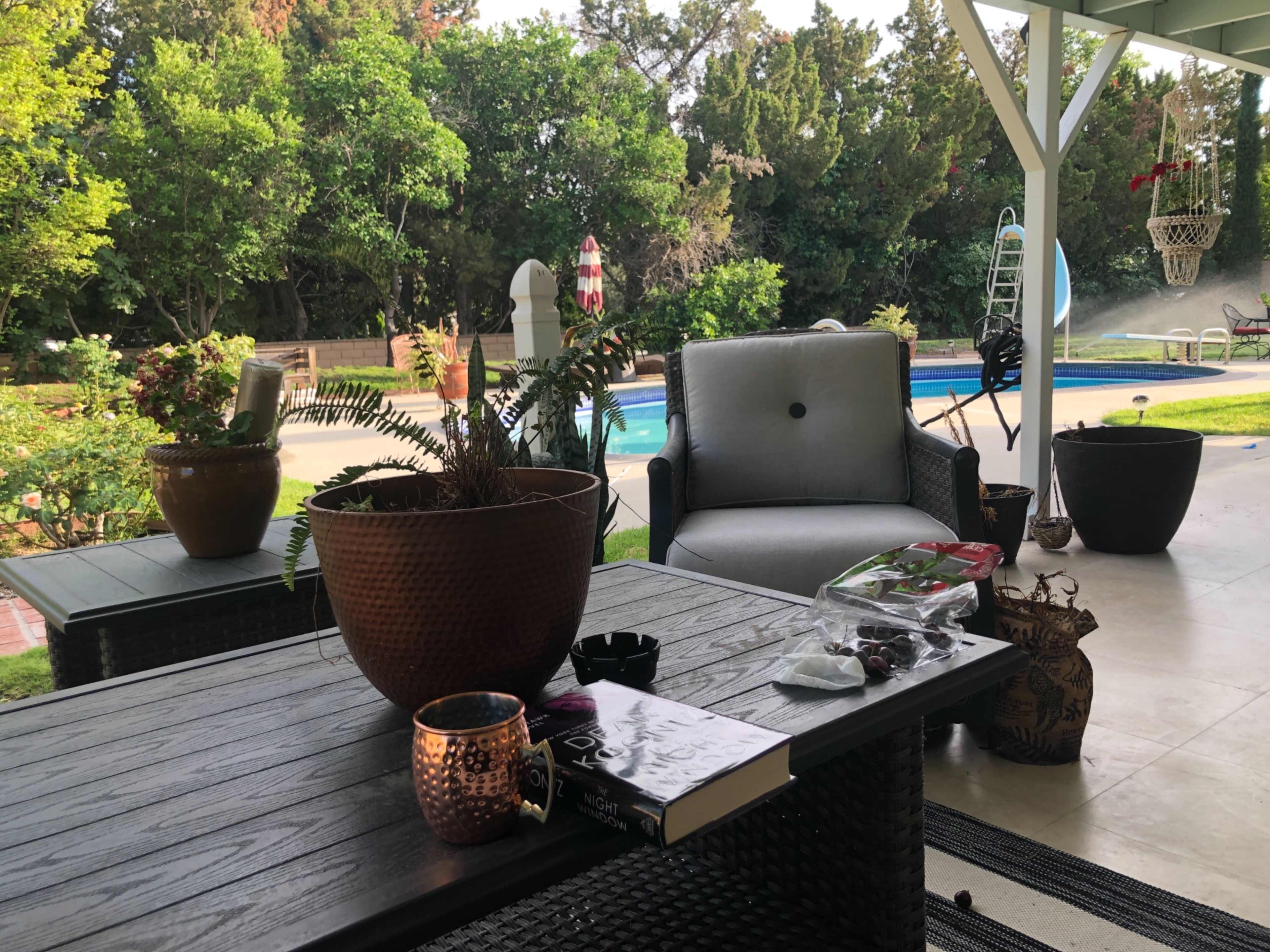 A patio scene shows a table with a book, snacks, and a potted plant, alongside a comfortable chair, overlooking a swimming pool and lush greenery.