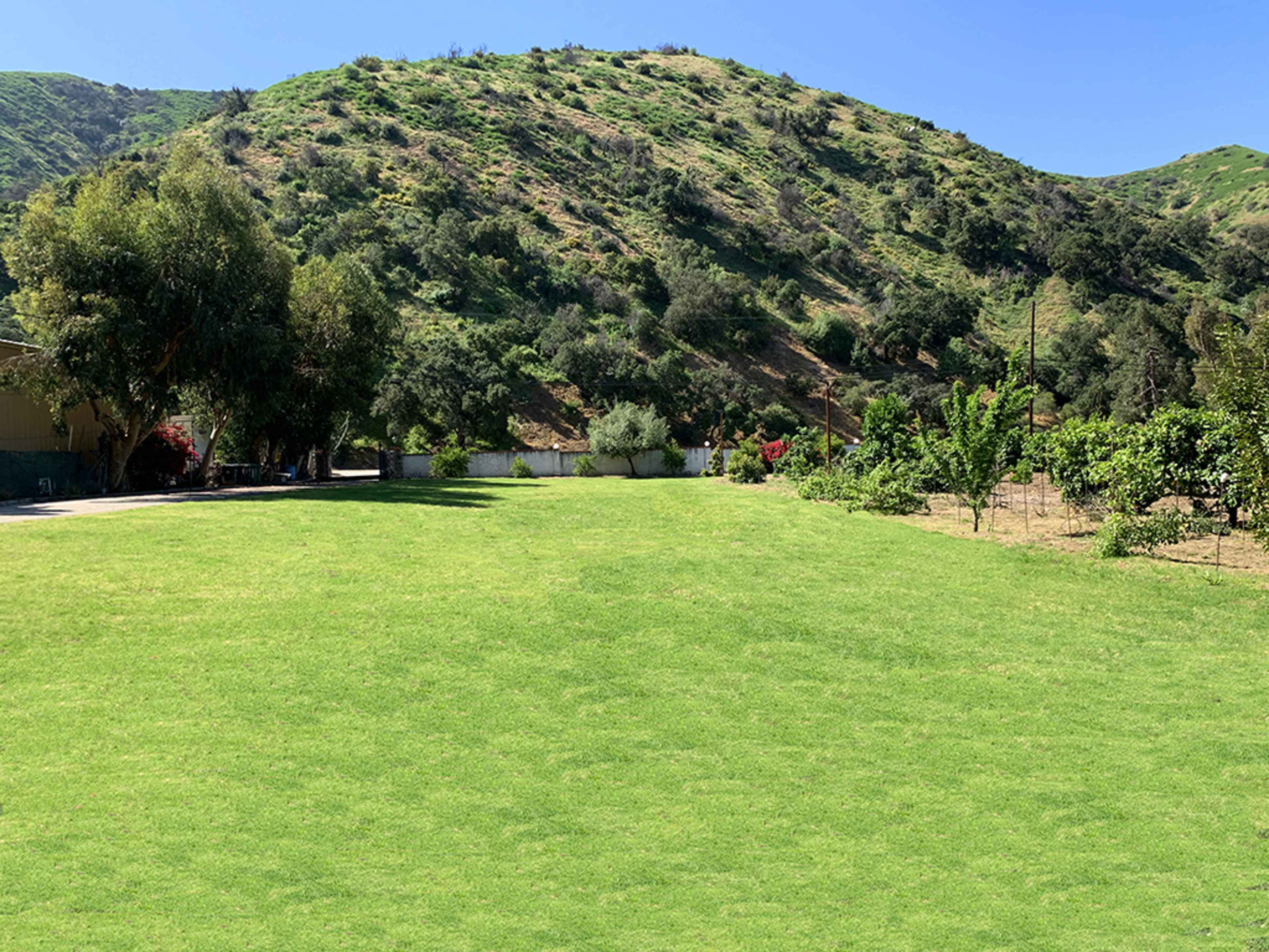 A lush green lawn extends in front of a hillside covered with vegetation.